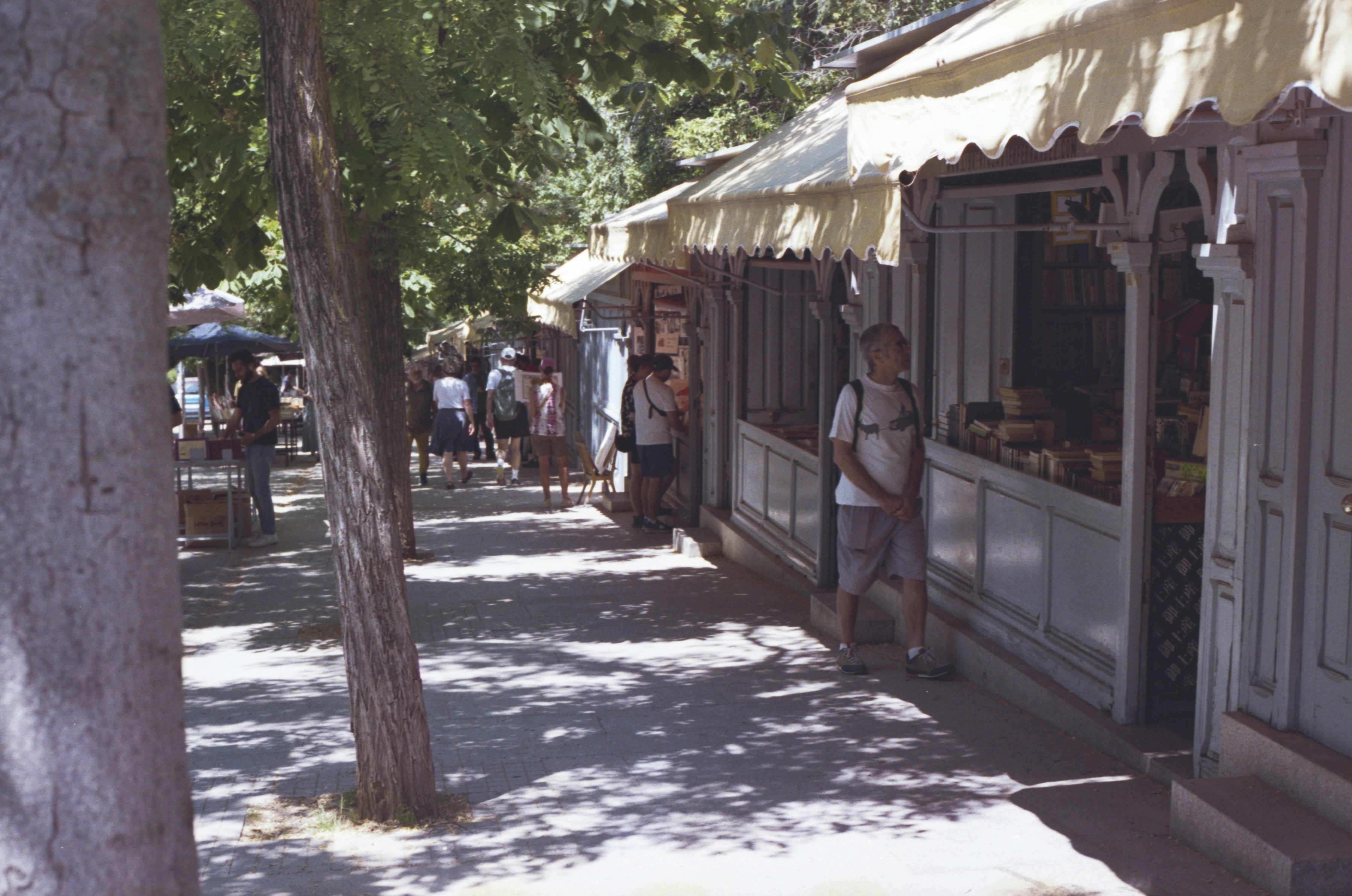 People browsing stalls along a sunny street