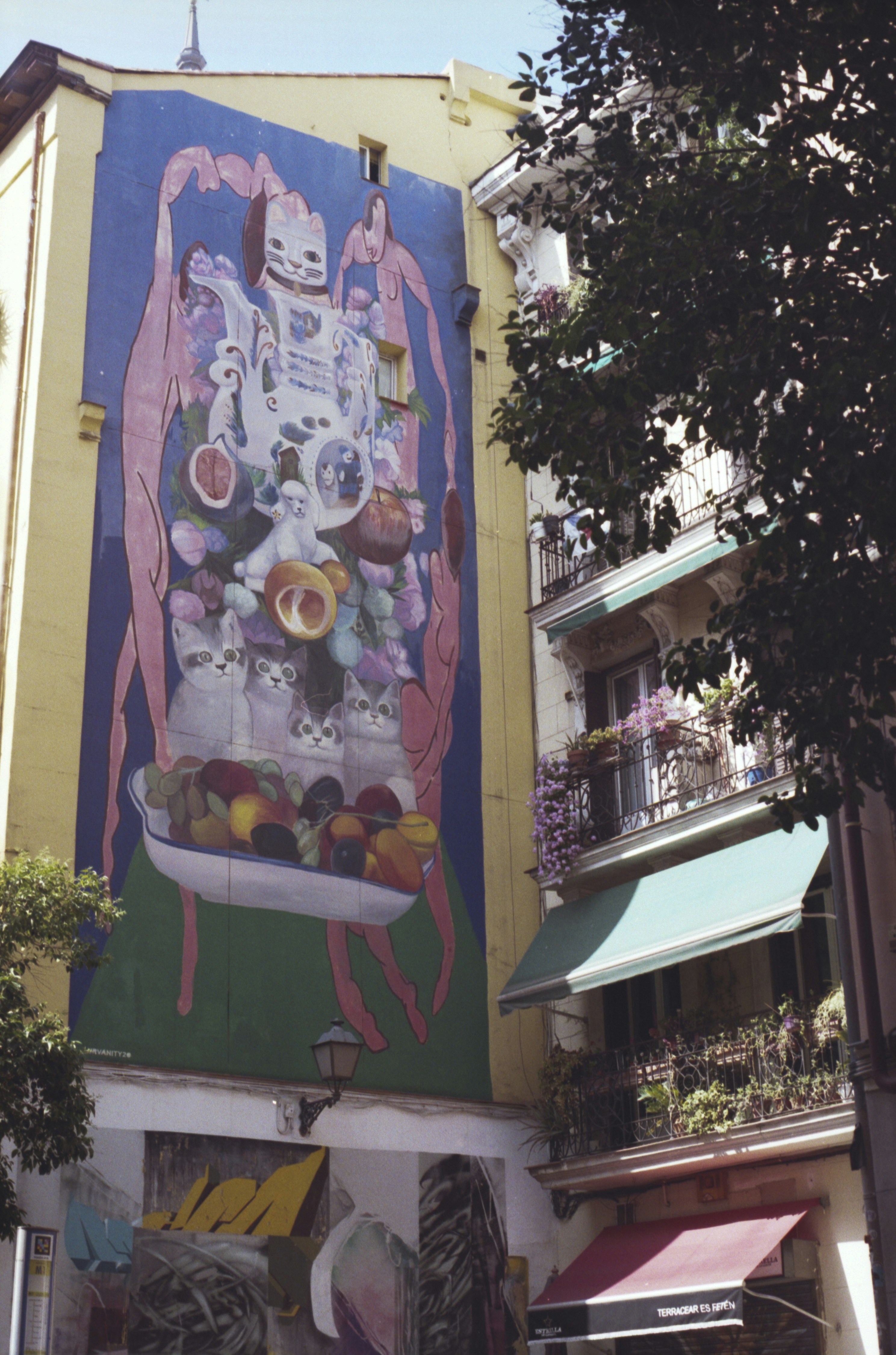 Large mural of cats and fruit on building