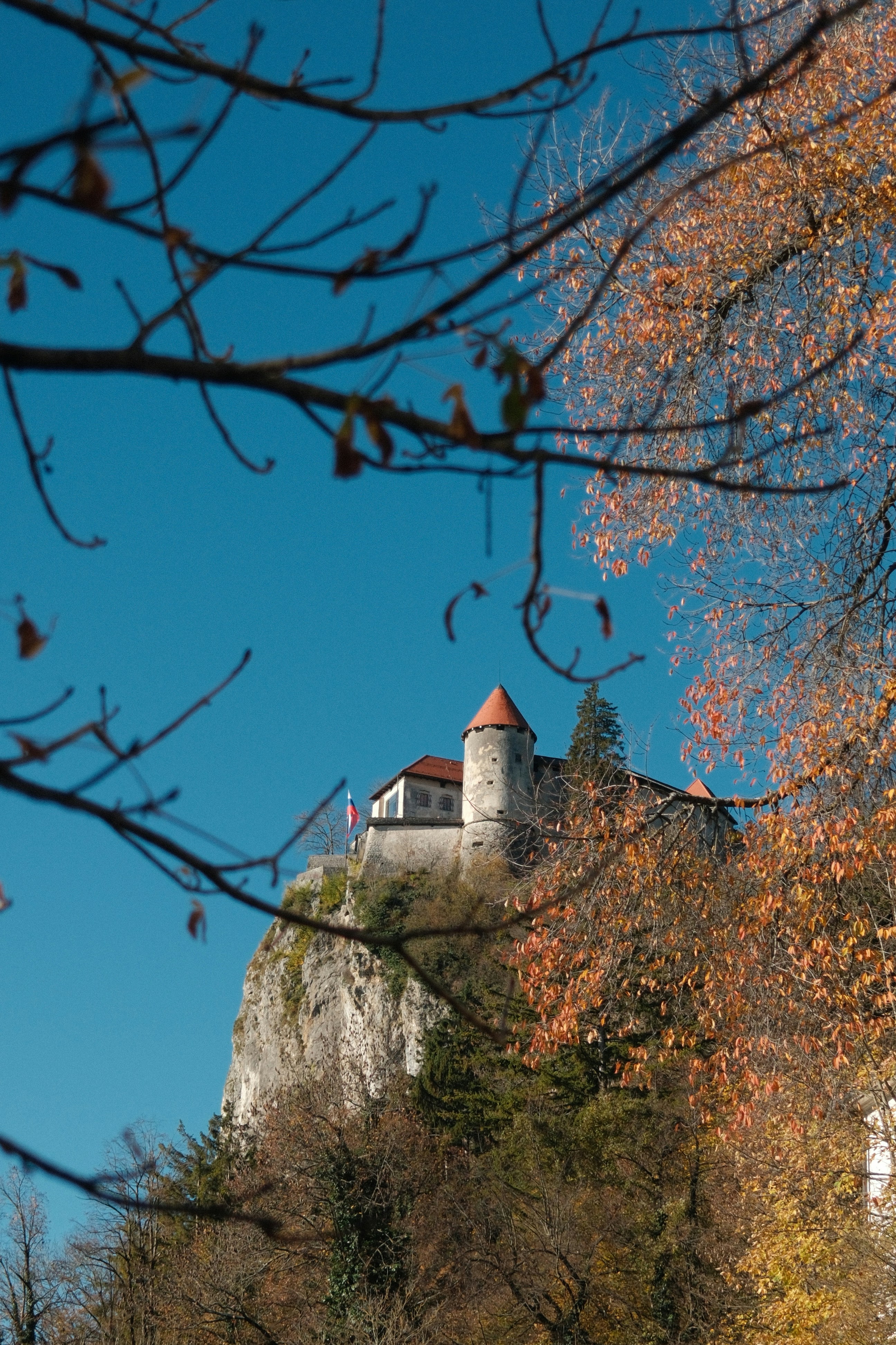 Photo by dipenpatel0810