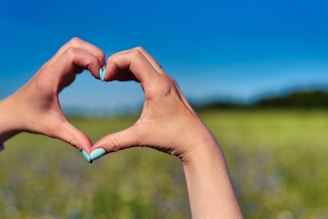 Hands forming a heart shape with a blurred background