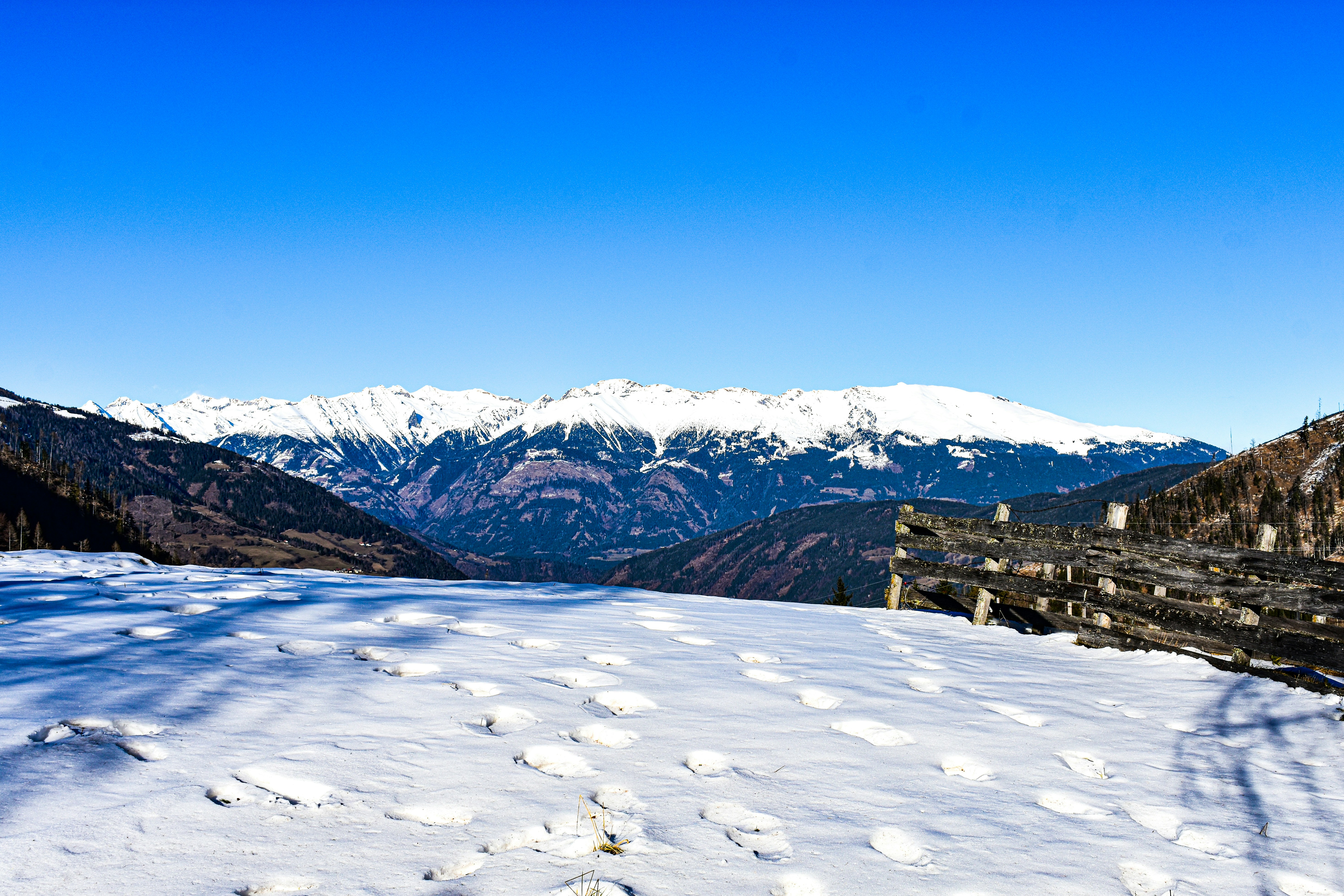 Photo by sschusterphotoart