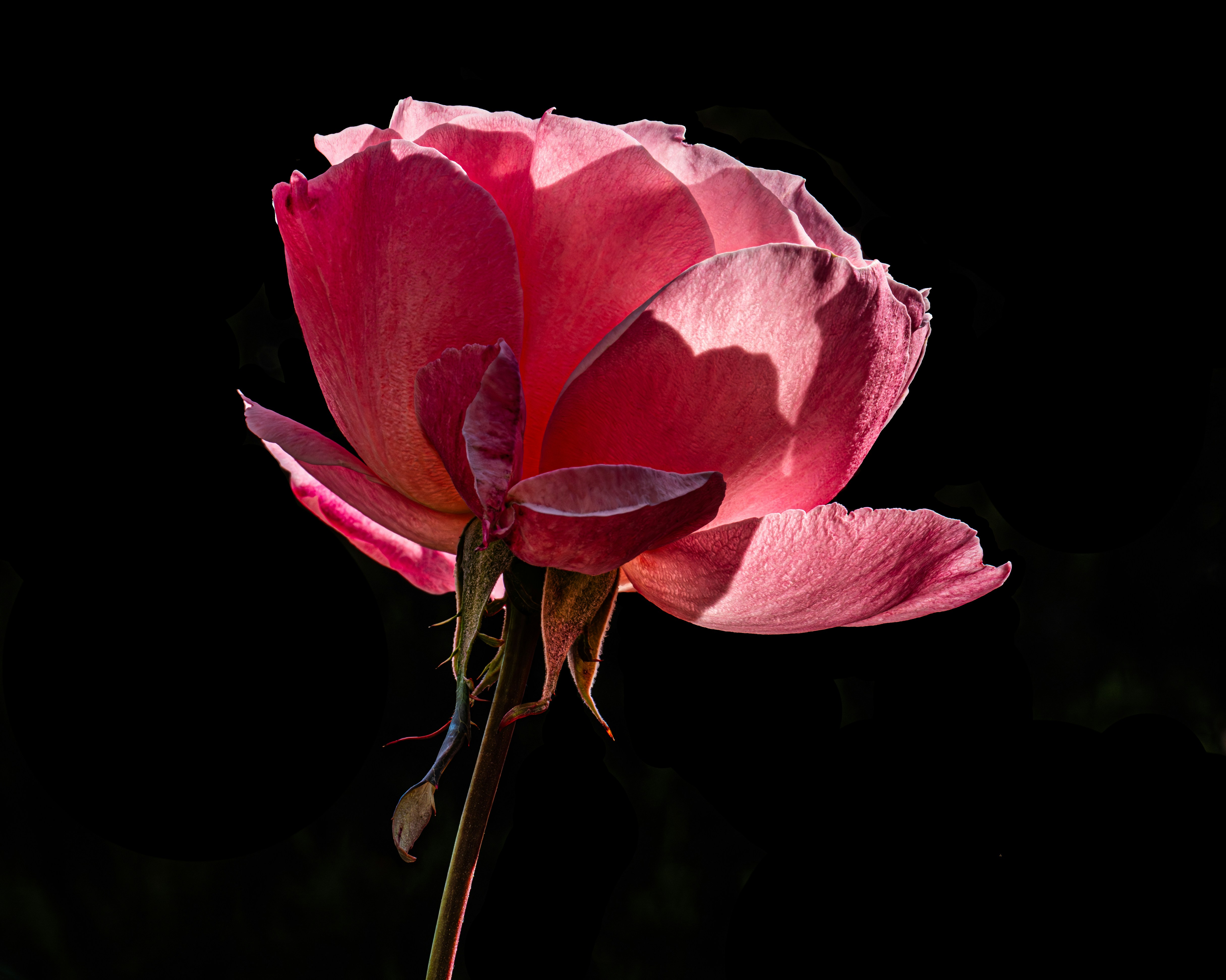 Photo by sschusterphotoart