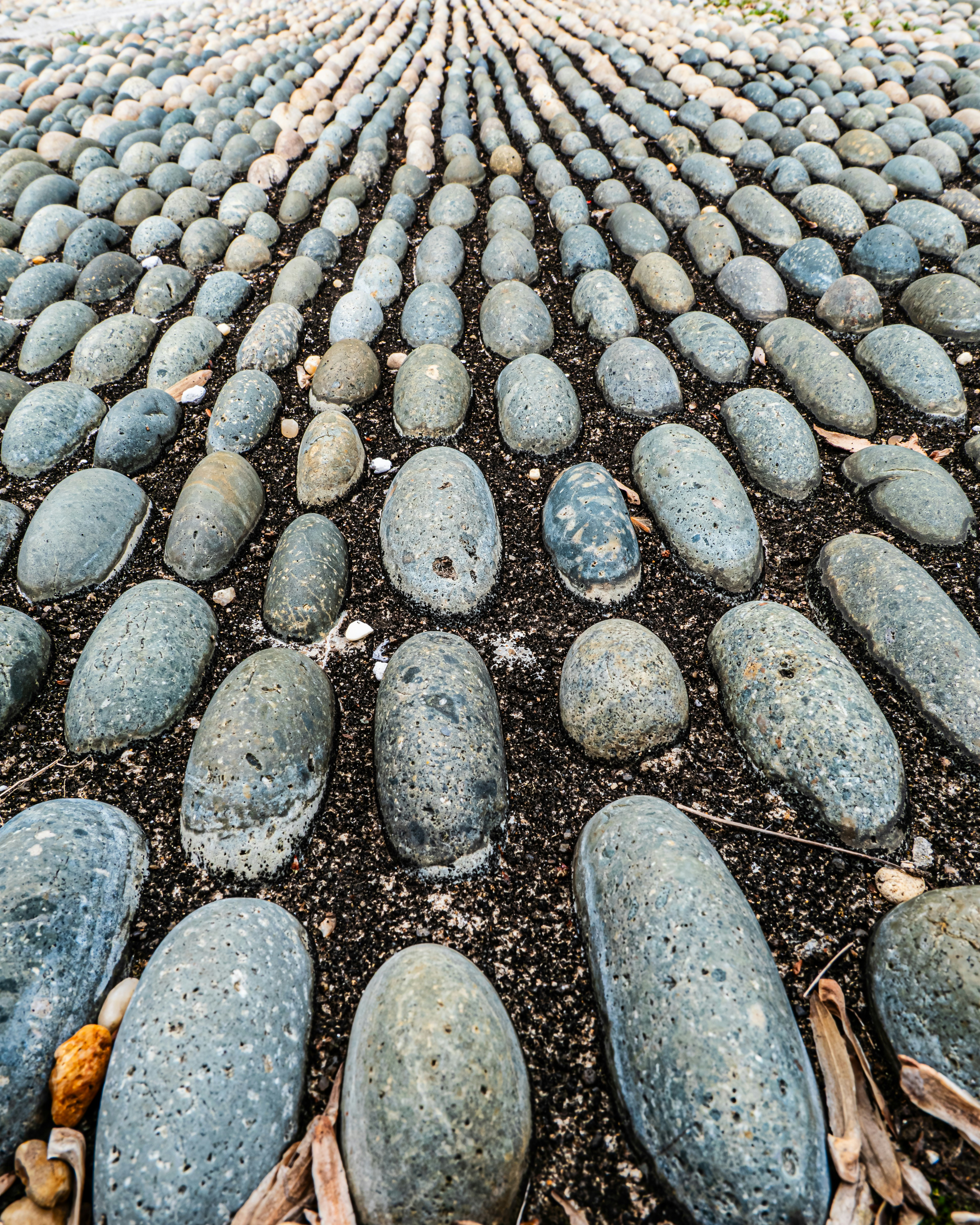 Rows of smooth, grey stones arranged on ground.