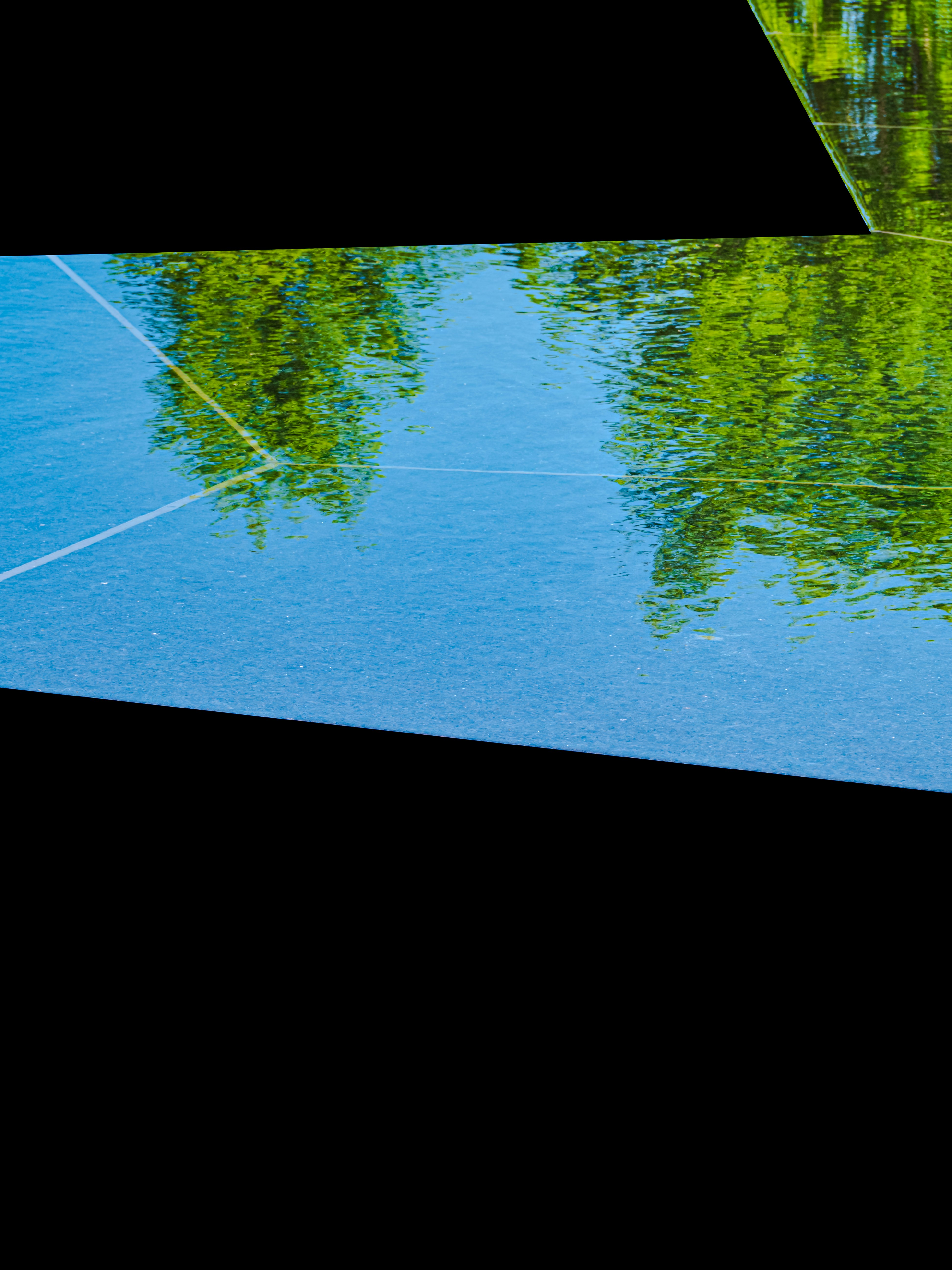 Green trees reflected in blue water