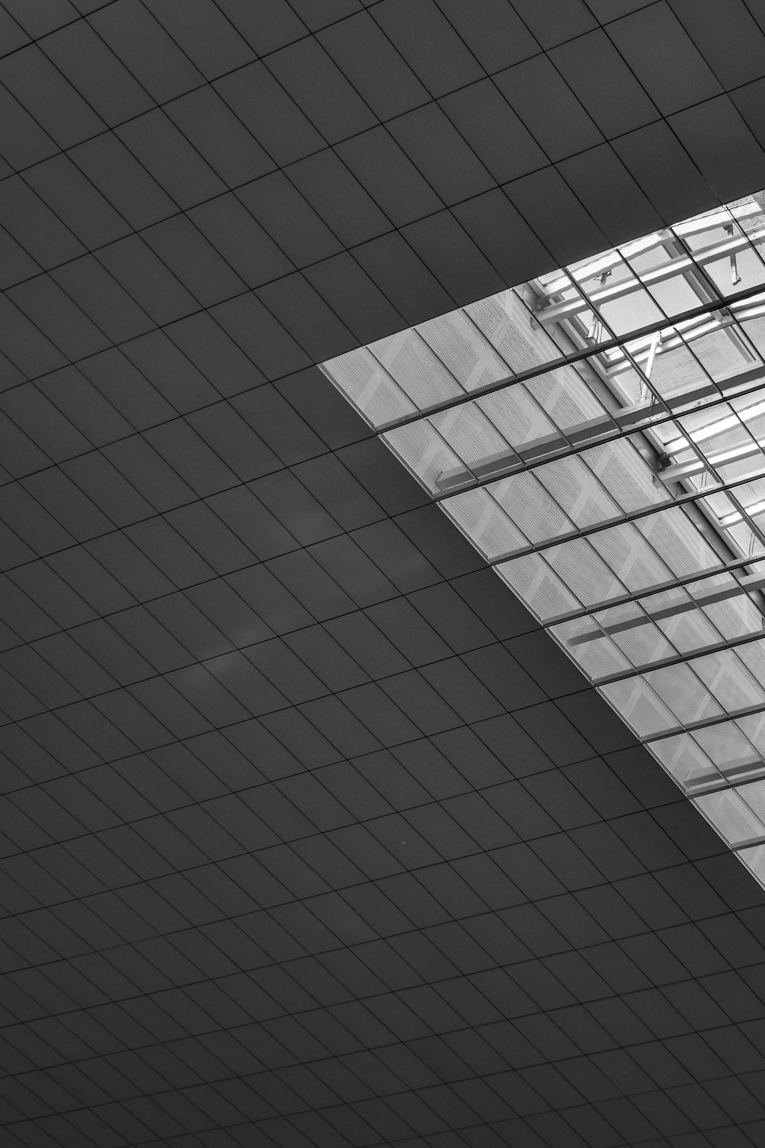 Photo by davidgeneugelijk