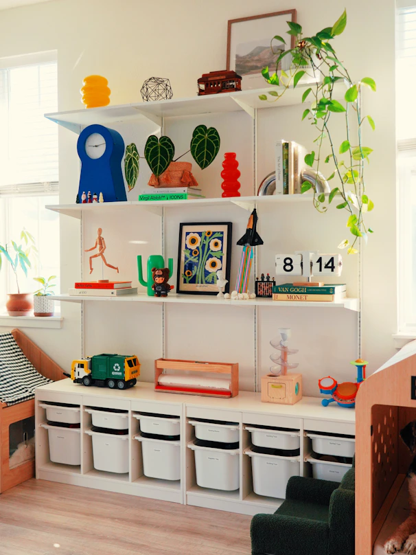 Shelves filled with books, plants, and decorative items.