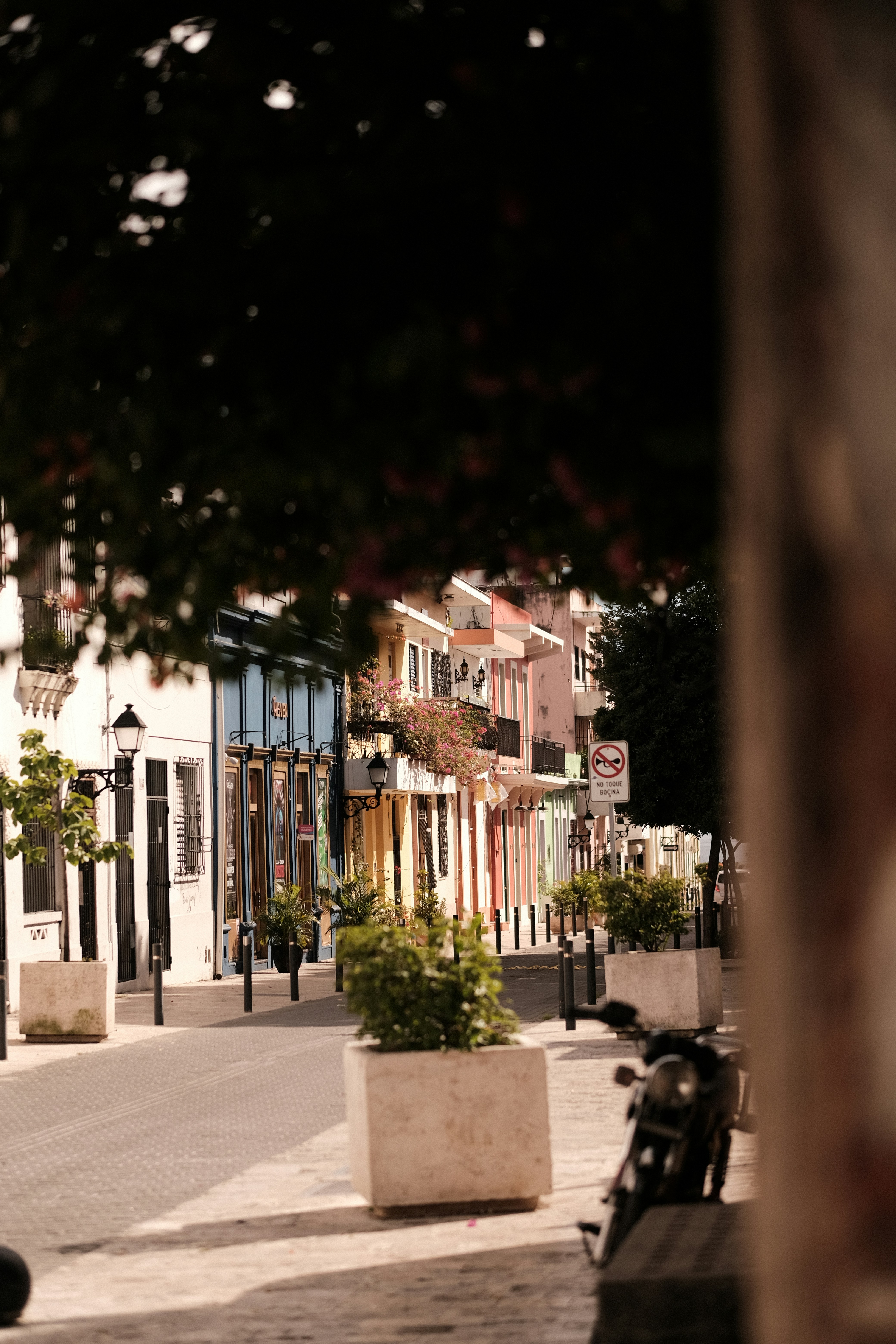 Photo by gianfrodriguez