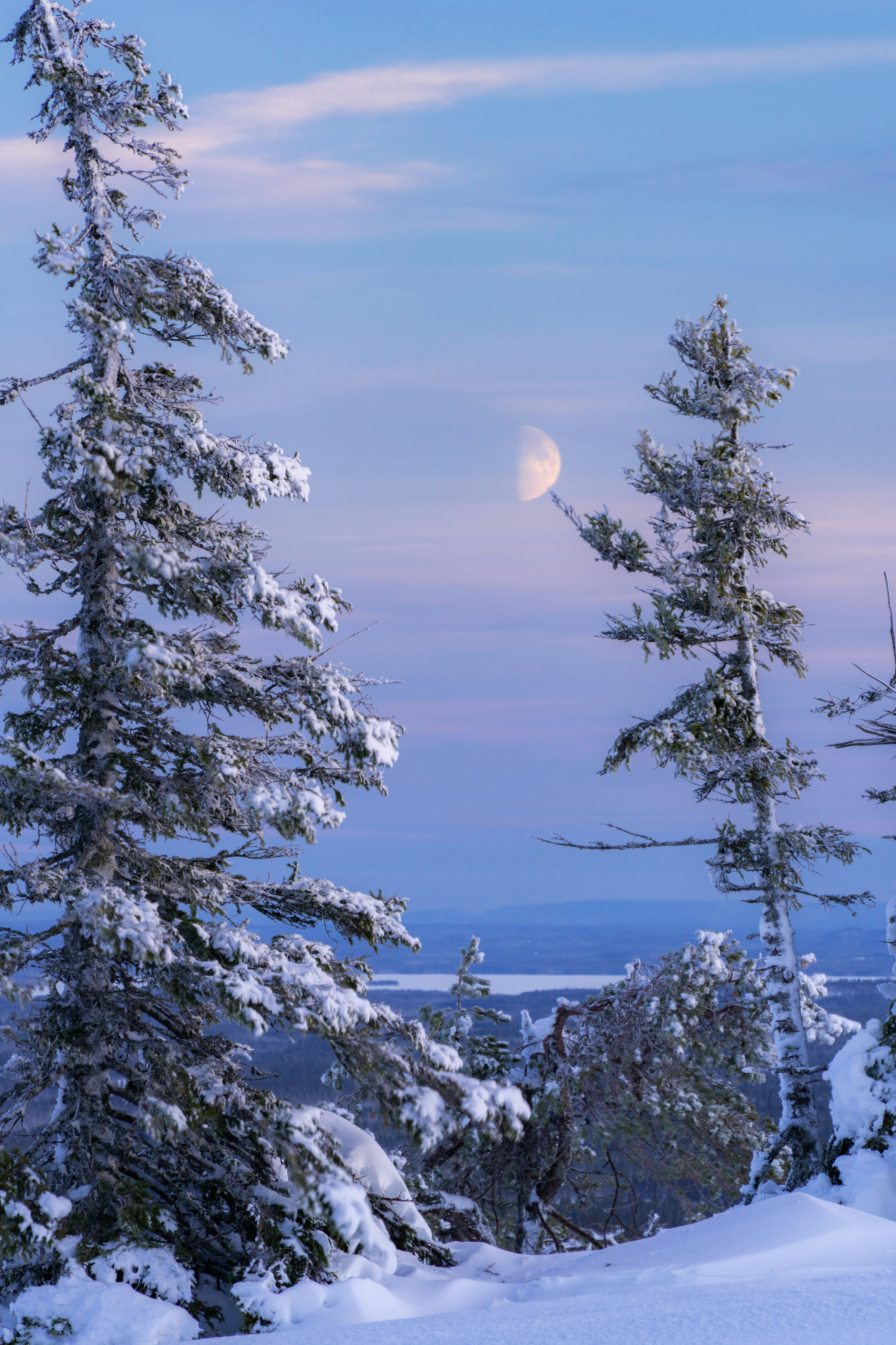 Photo by skyhung1228