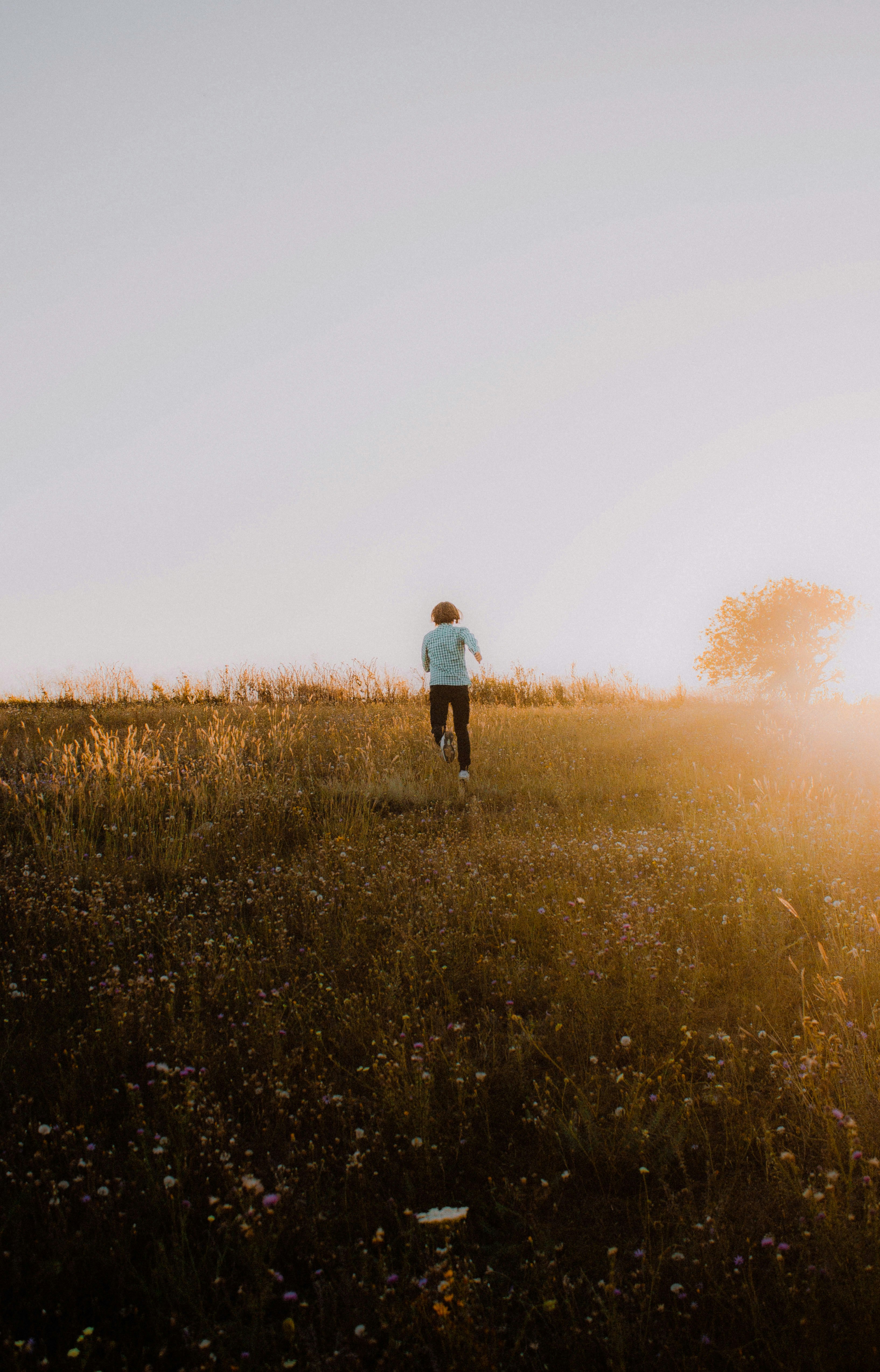 A person runs through a grassy field at sunset.
