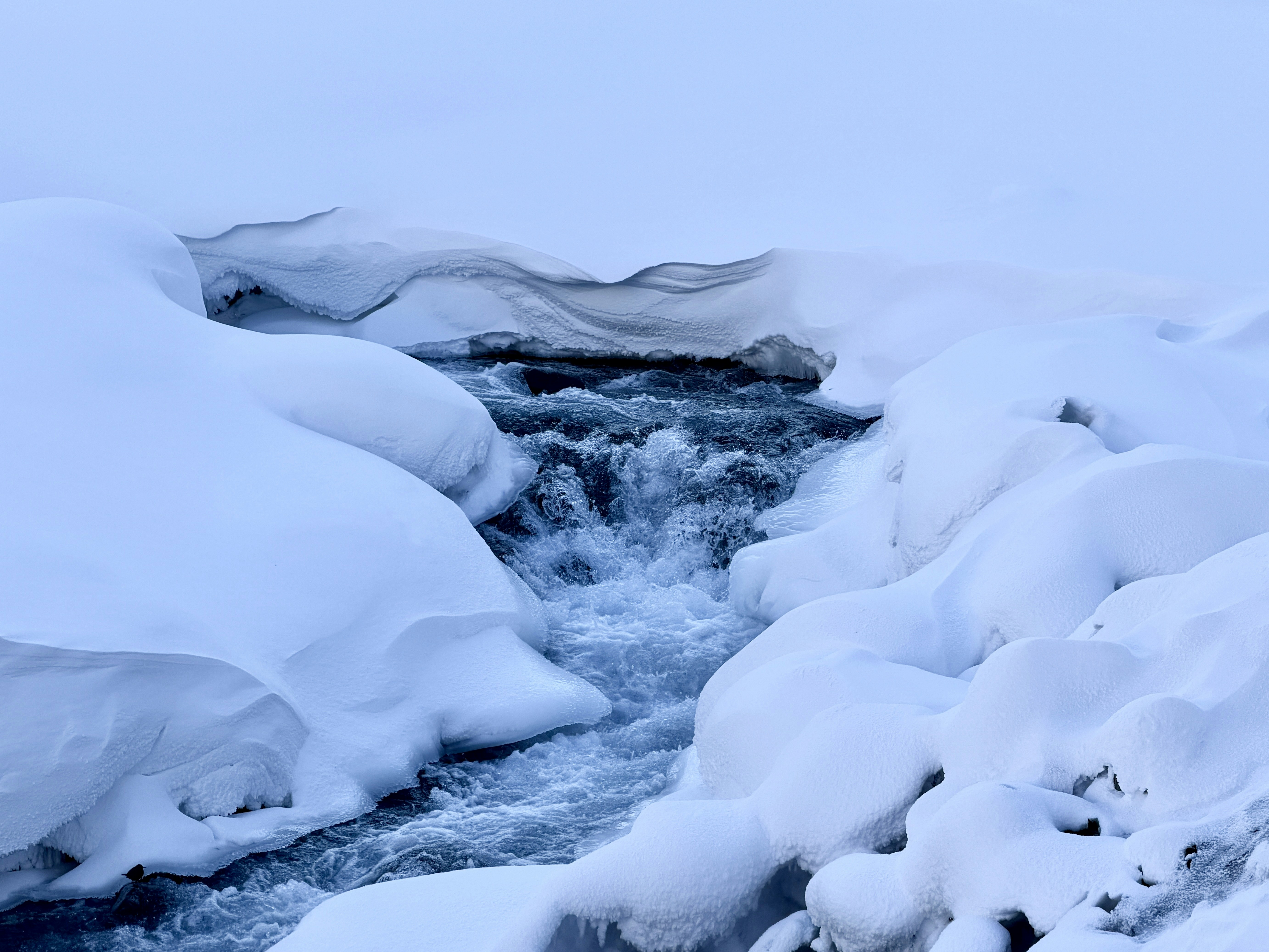 Photo by space_launch_system