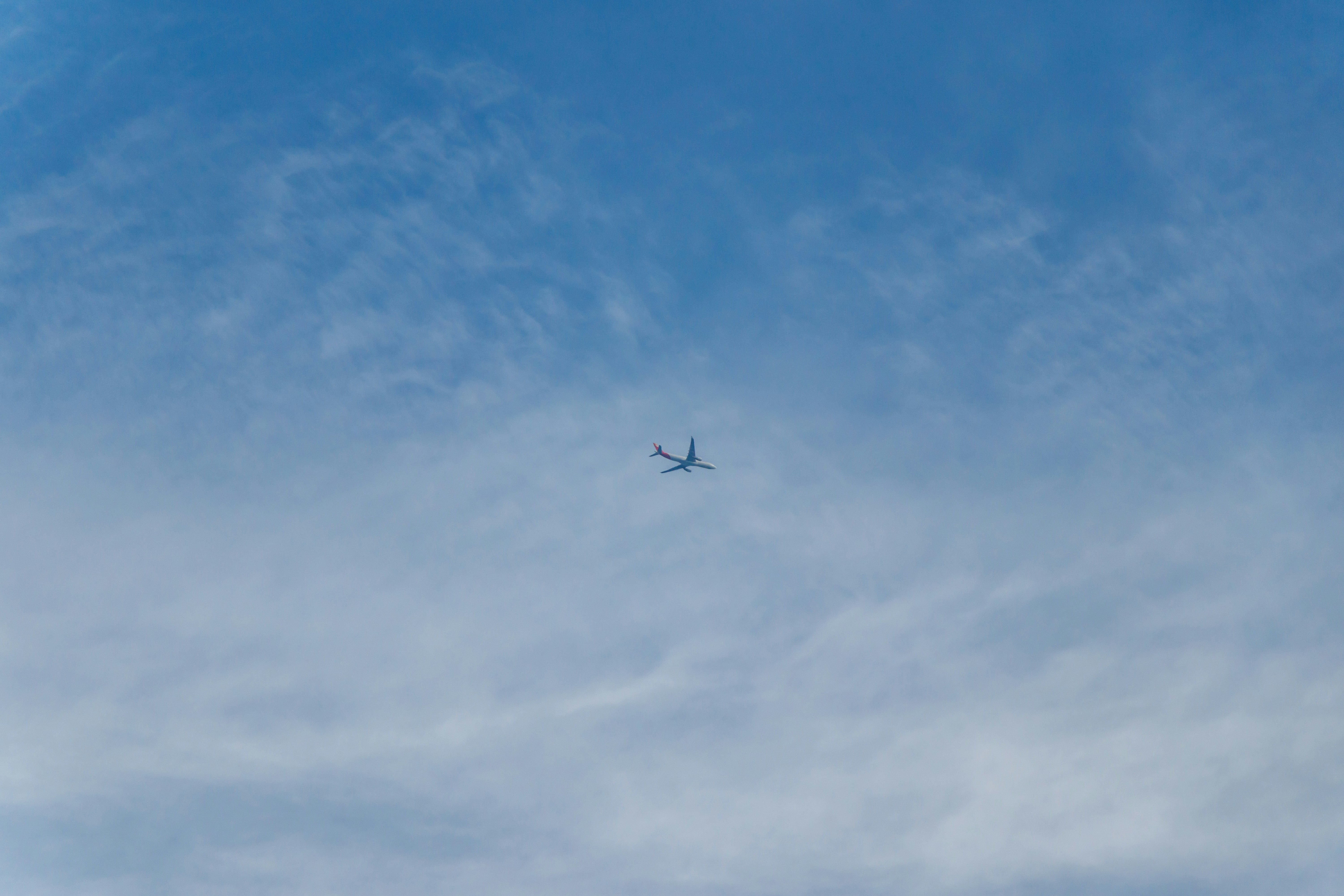 Photo by clayleconey