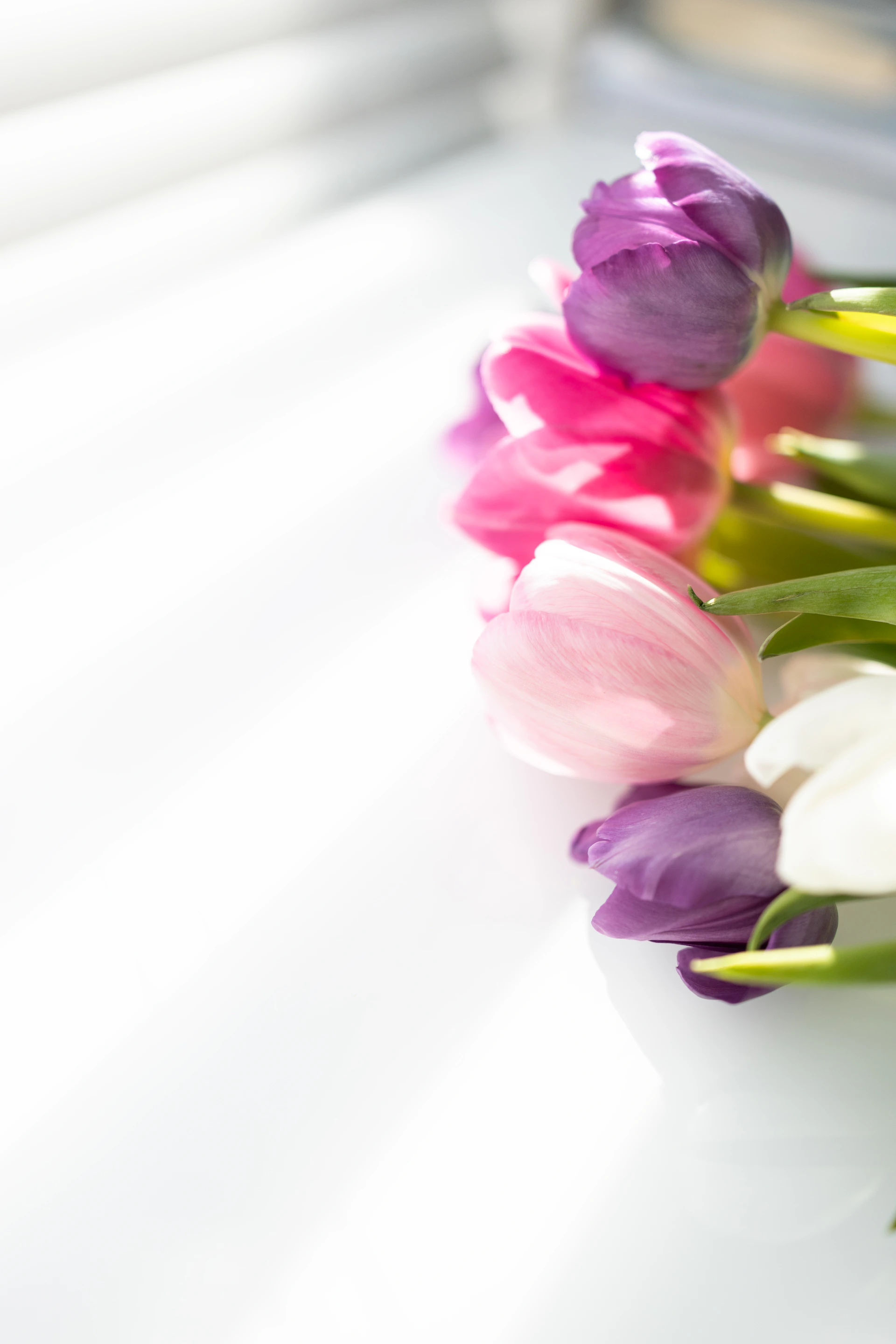 A bouquet of colorful tulips on a white surface.
