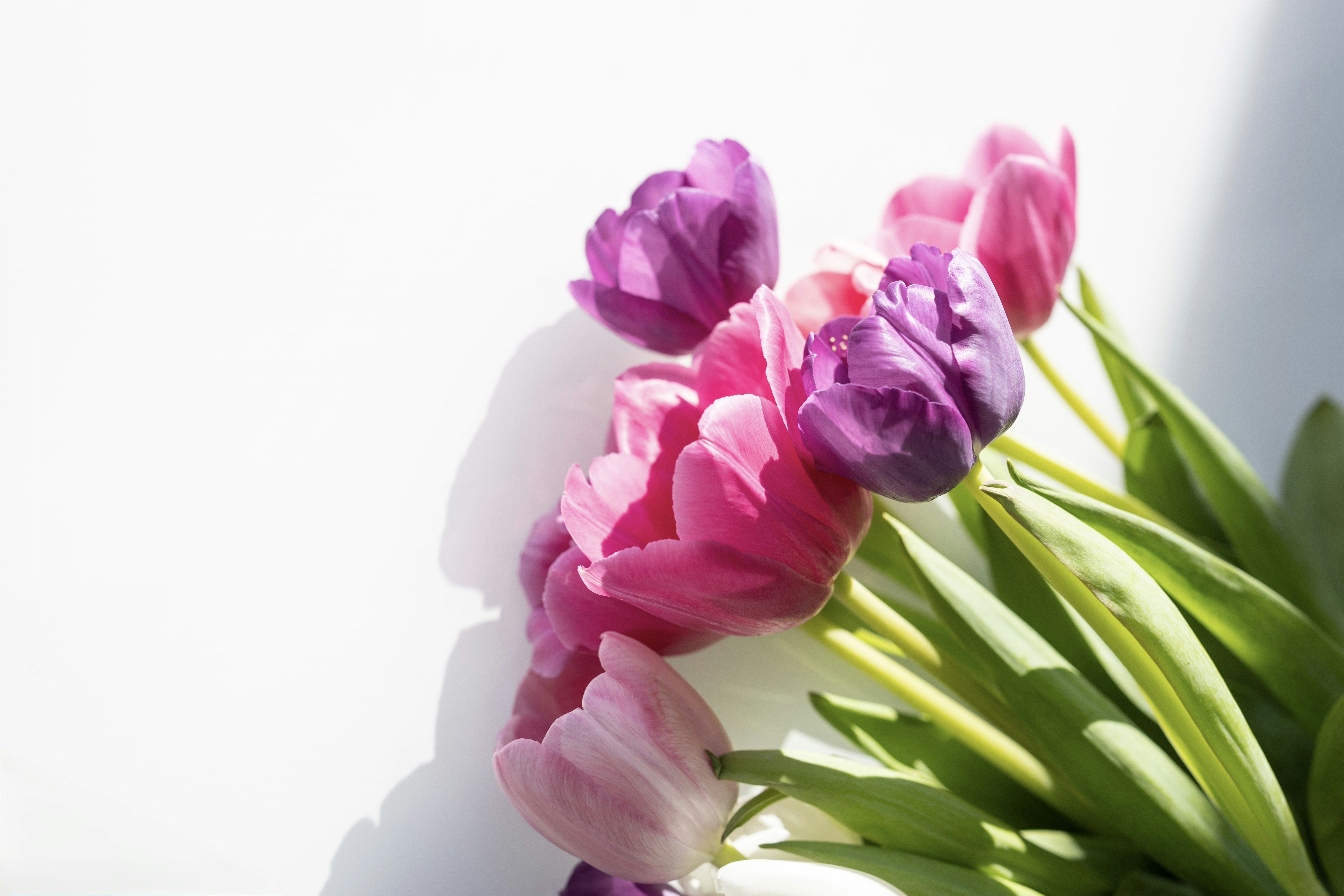 pastel spring wallpaper, wallpaper, Easter Crafts for Adults: Creative Ideas & DIY Projects 6