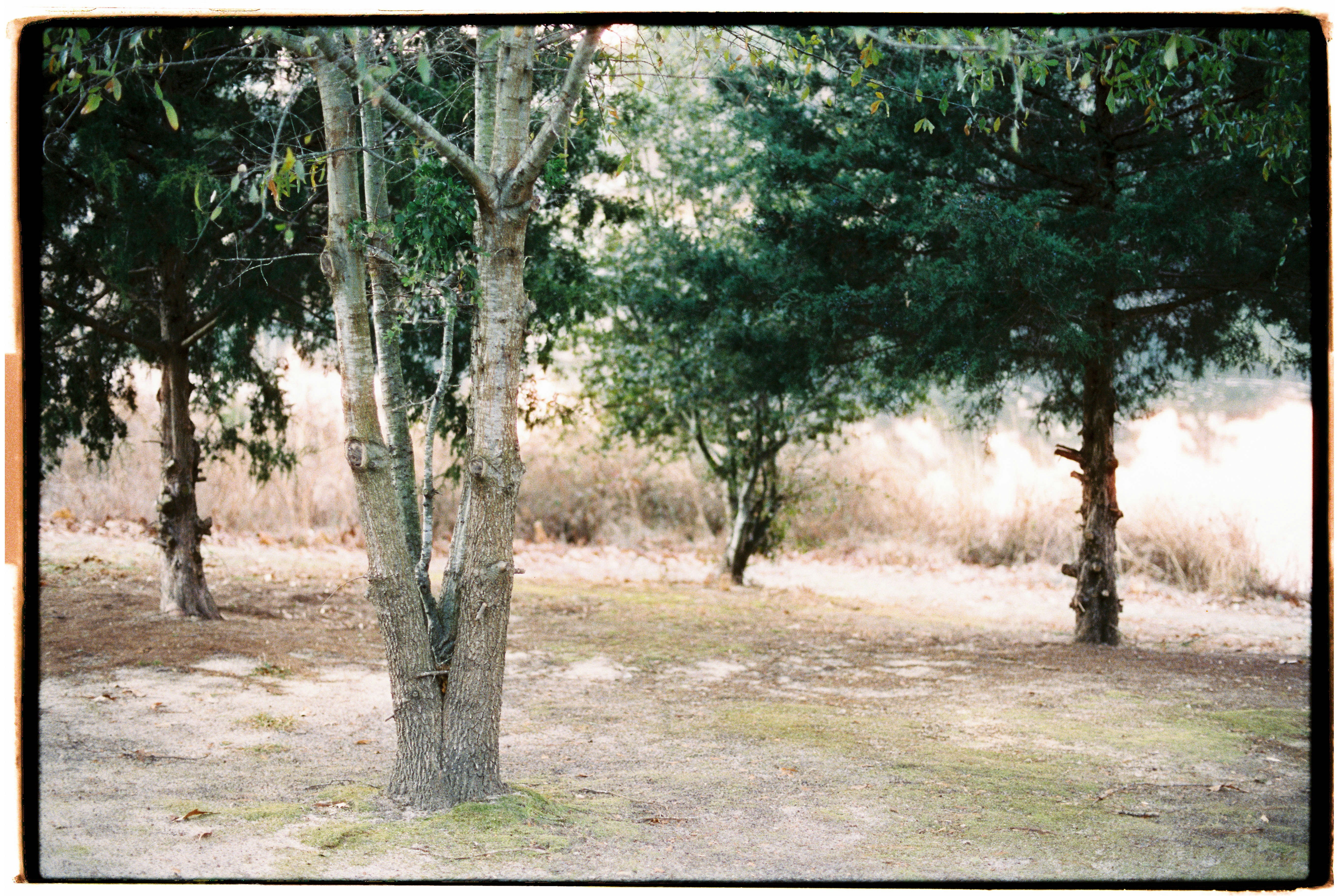Photo by onghansel