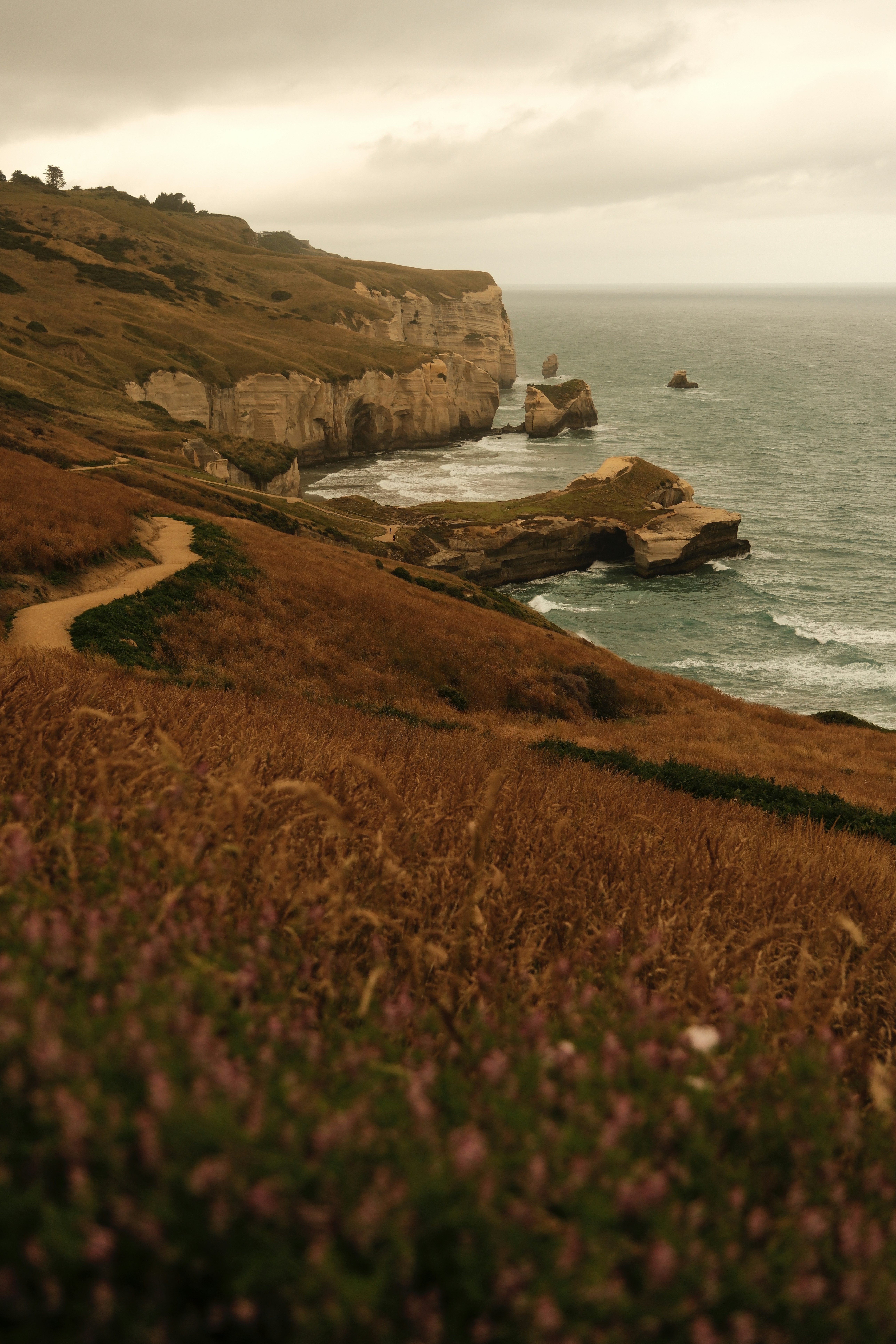 Photo by ginkgoshutter