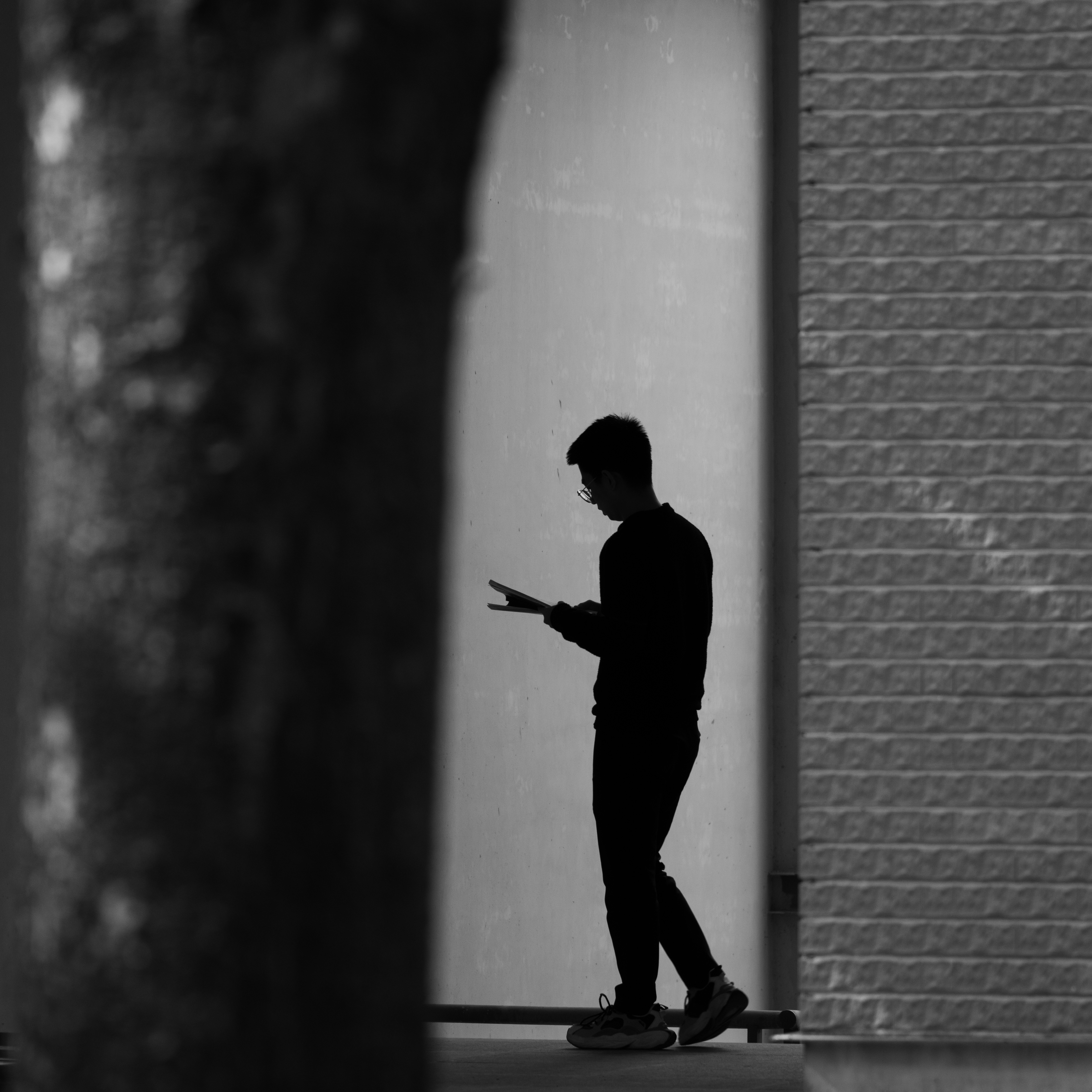 Silhouette of a person looking at a phone.