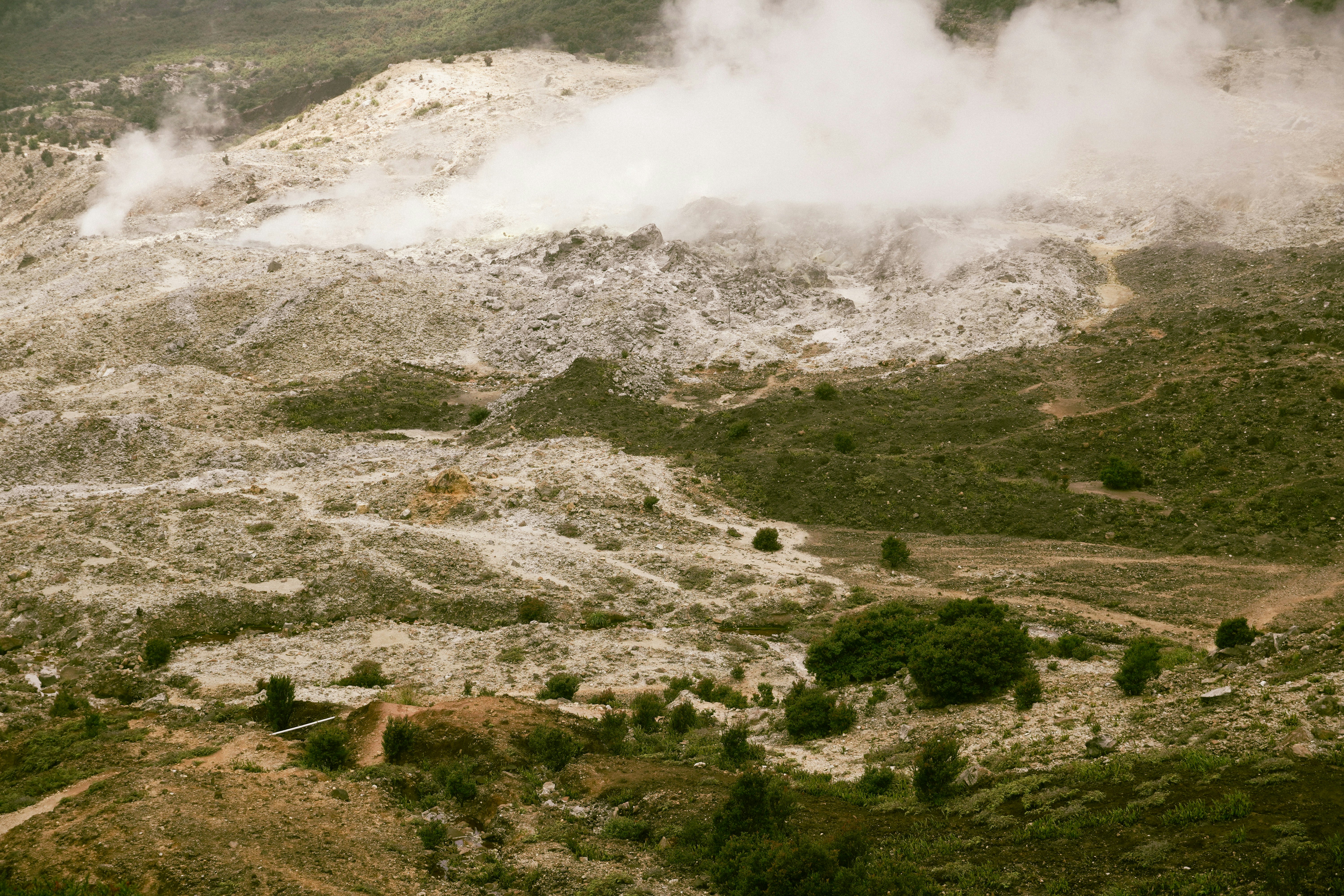 Photo by mutiarasal_