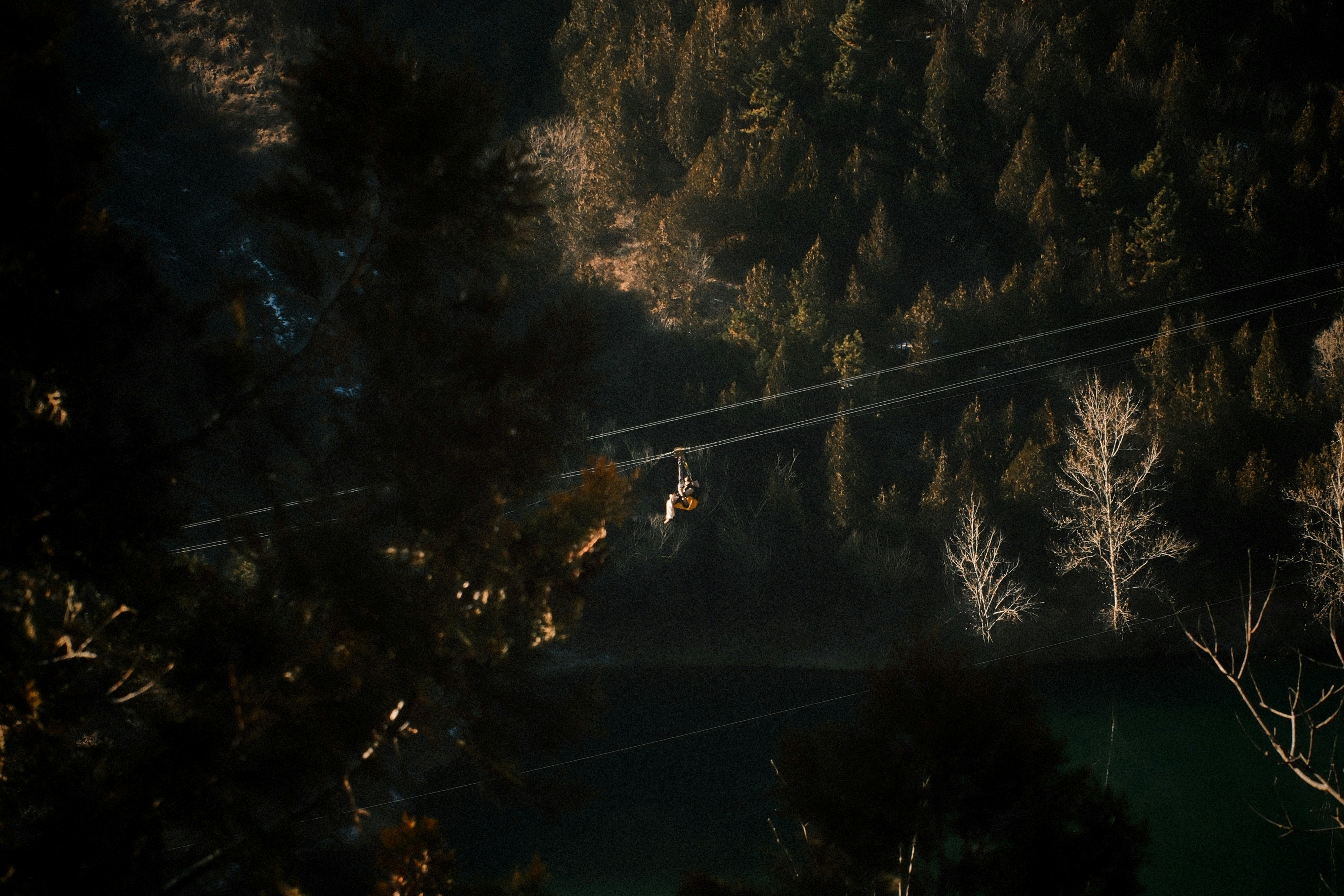 Person ziplining through a forest over water.