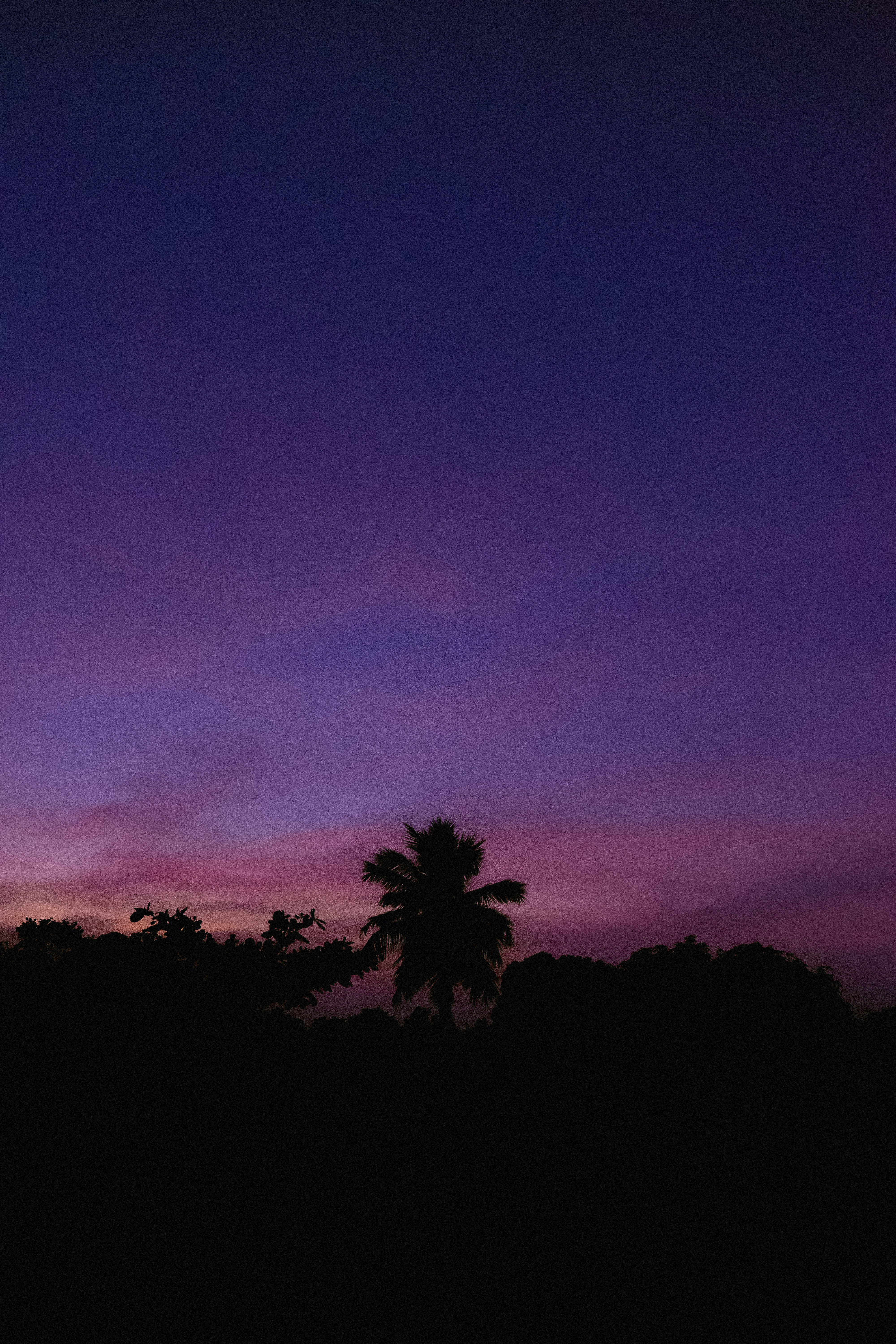 Photo by gridverselabs