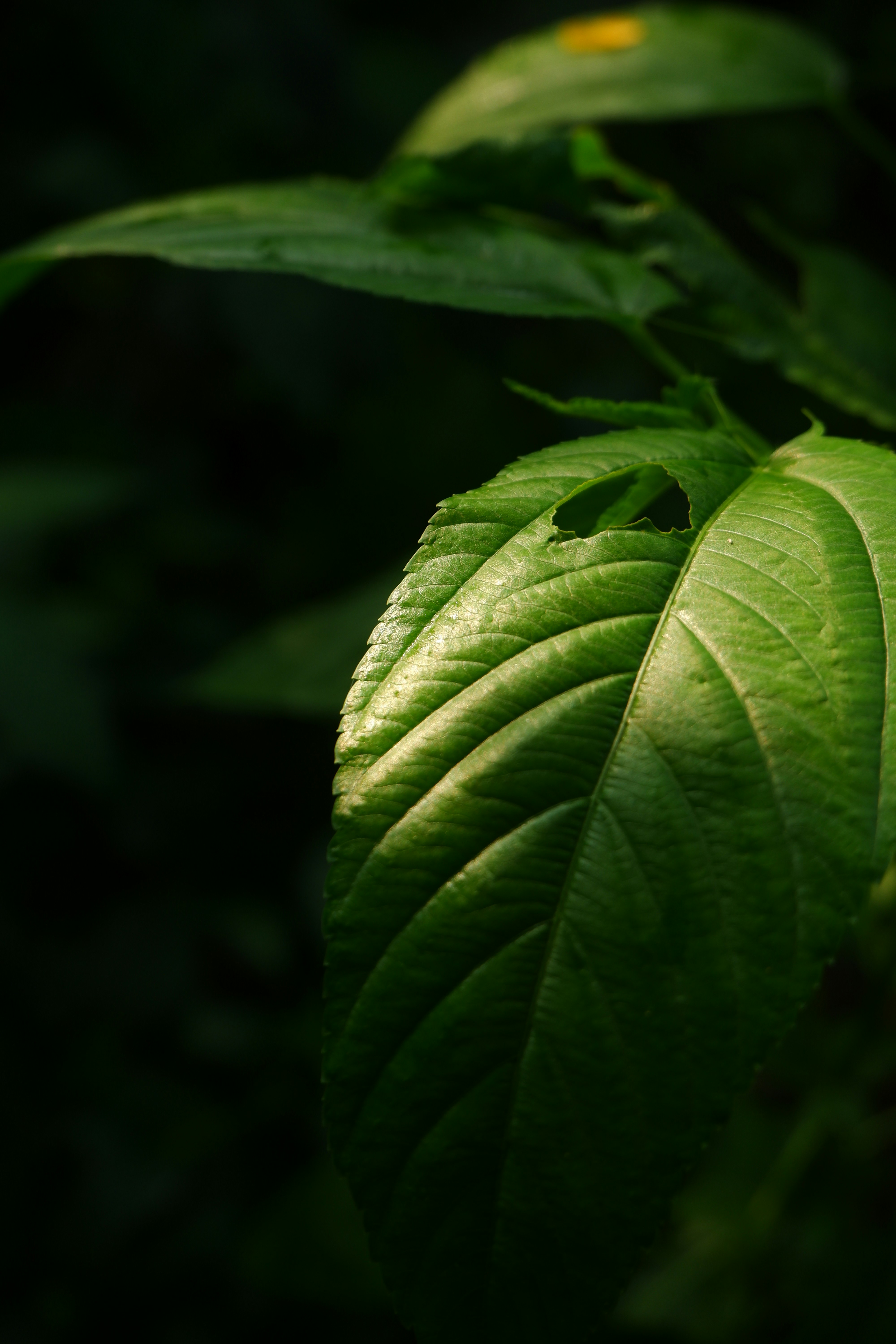 Photo by gridverselabs