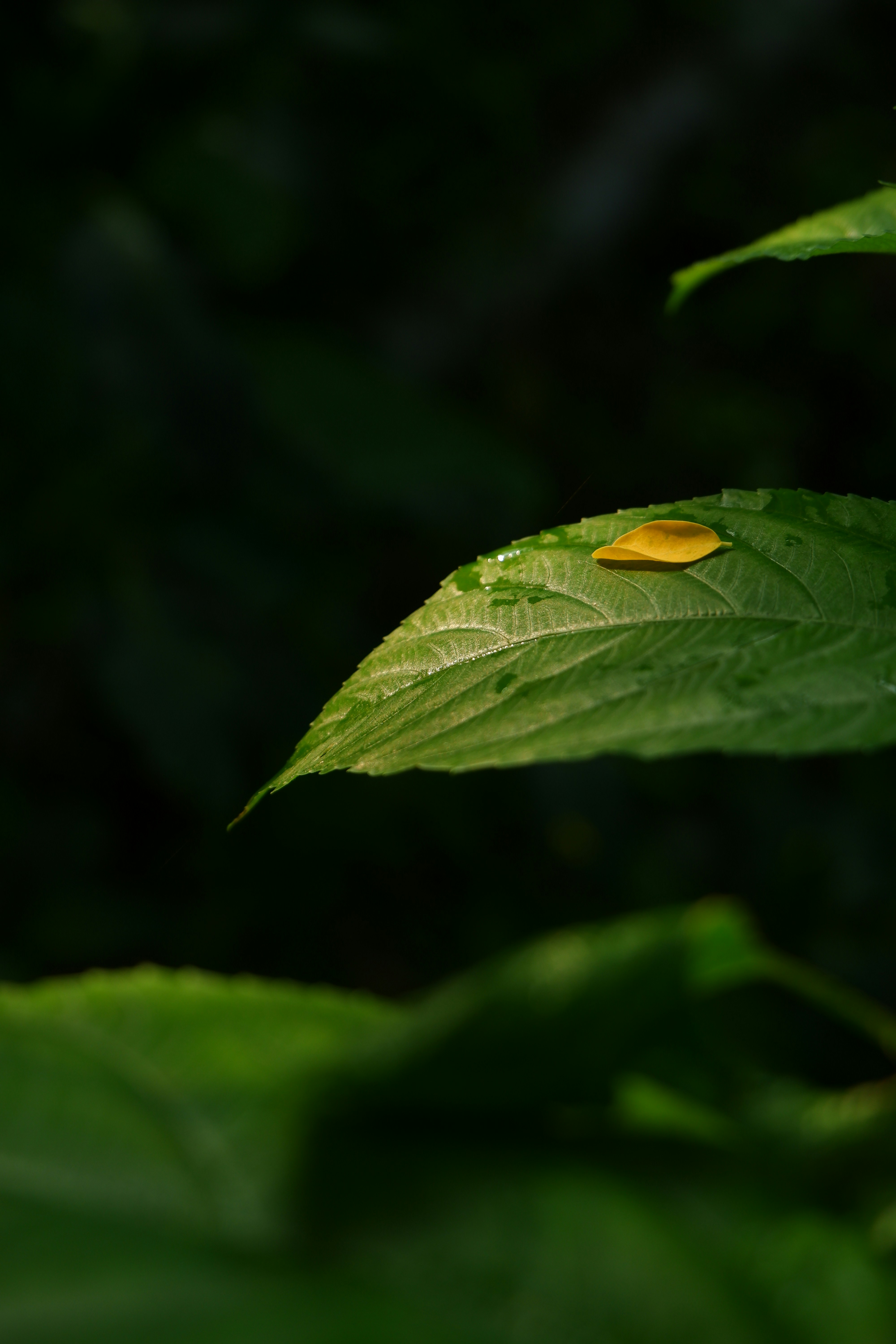 Photo by gridverselabs