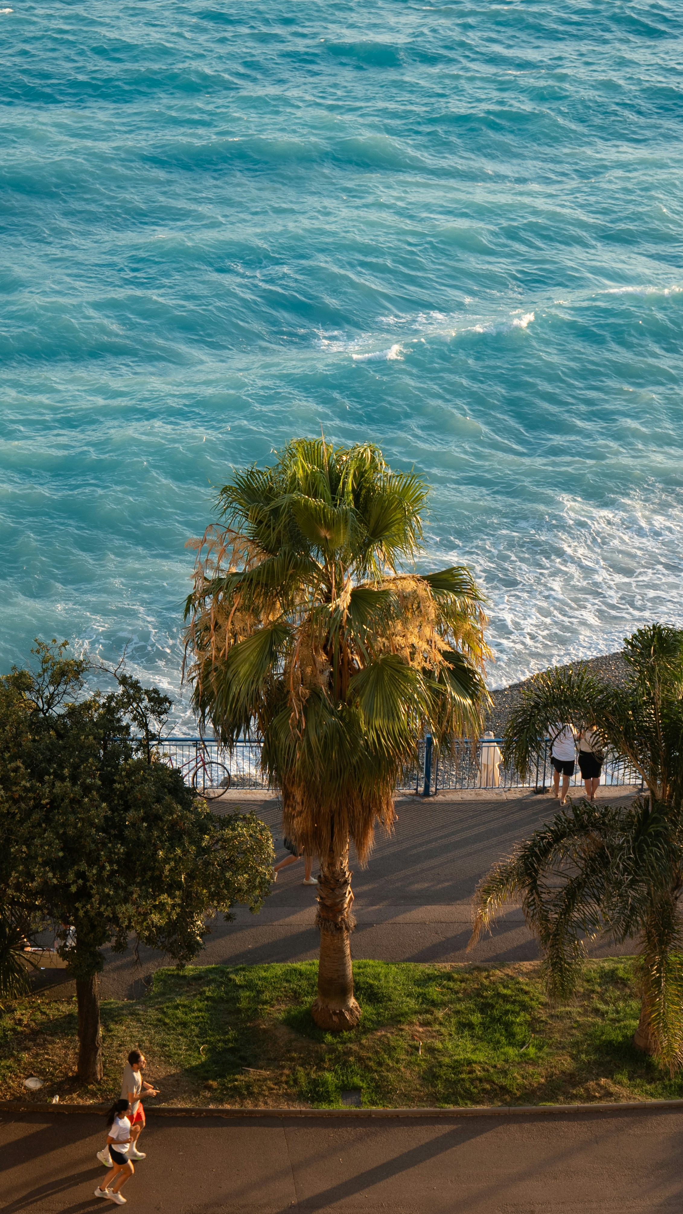 Palm trees line a seaside promenade with people walking.