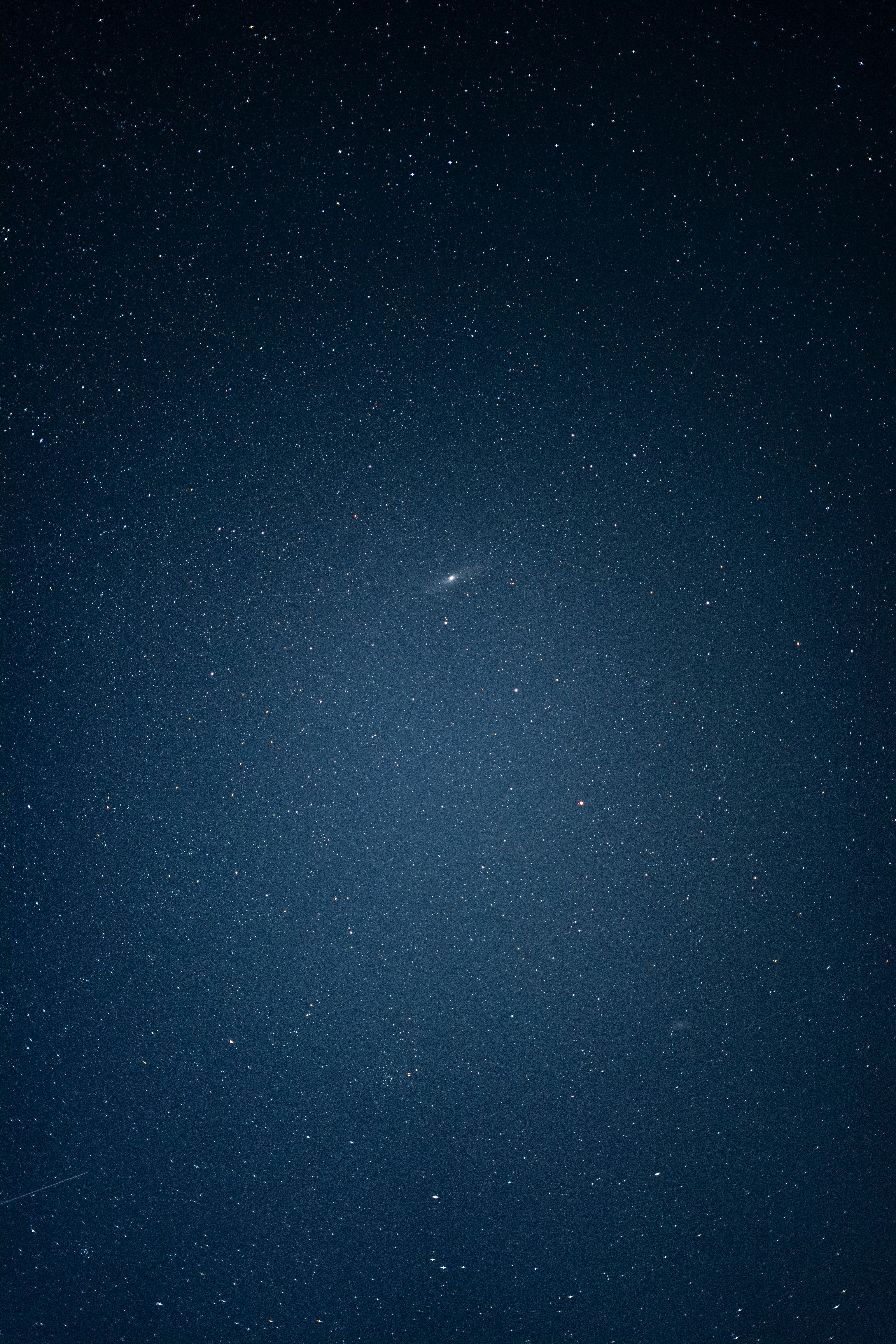 A dark blue sky filled with countless bright stars.