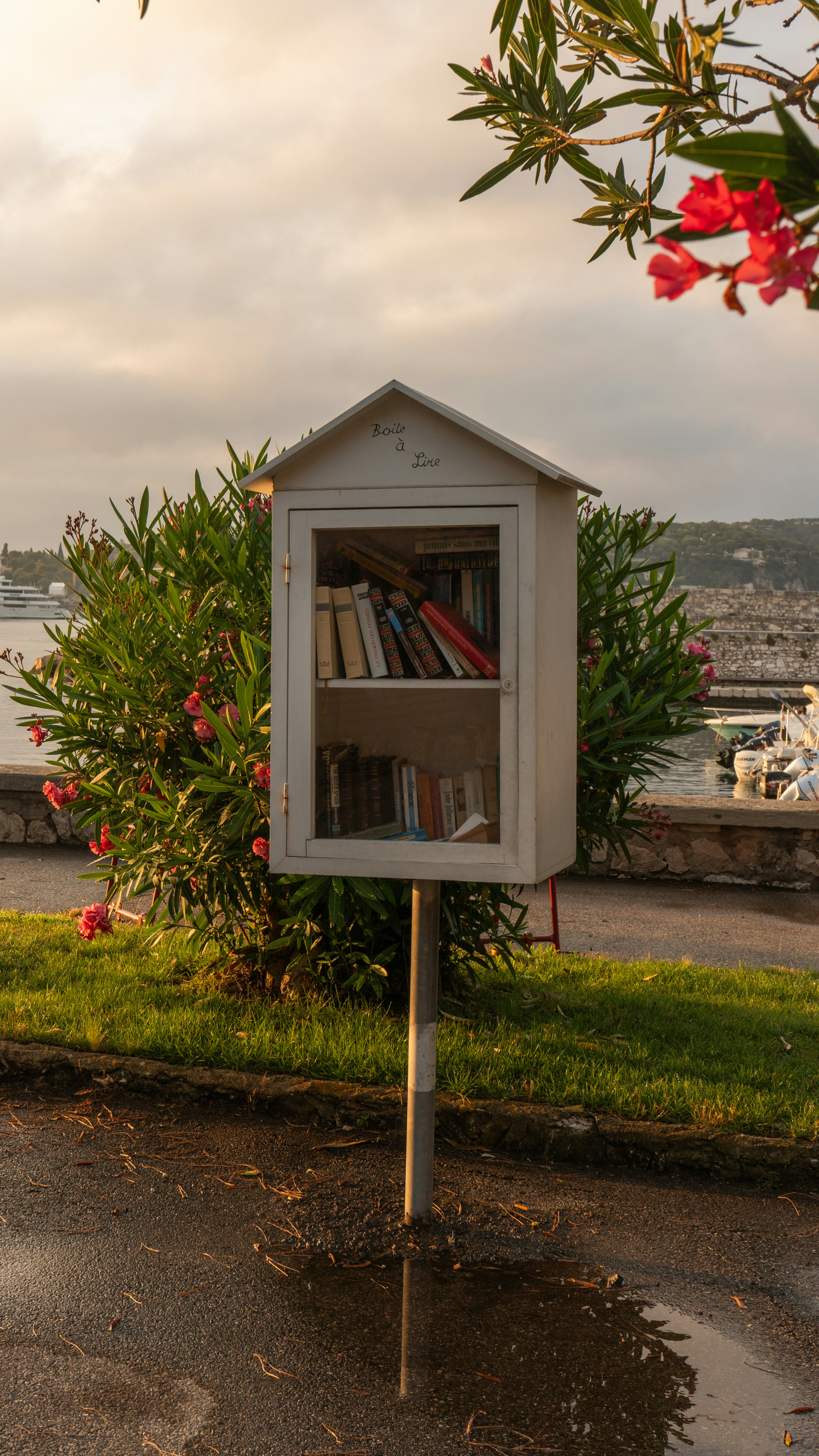Small outdoor library box with books on a pole.