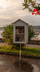 Small outdoor library box with books on a pole.