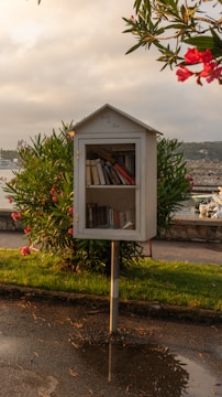 Small outdoor library box with books on a pole.