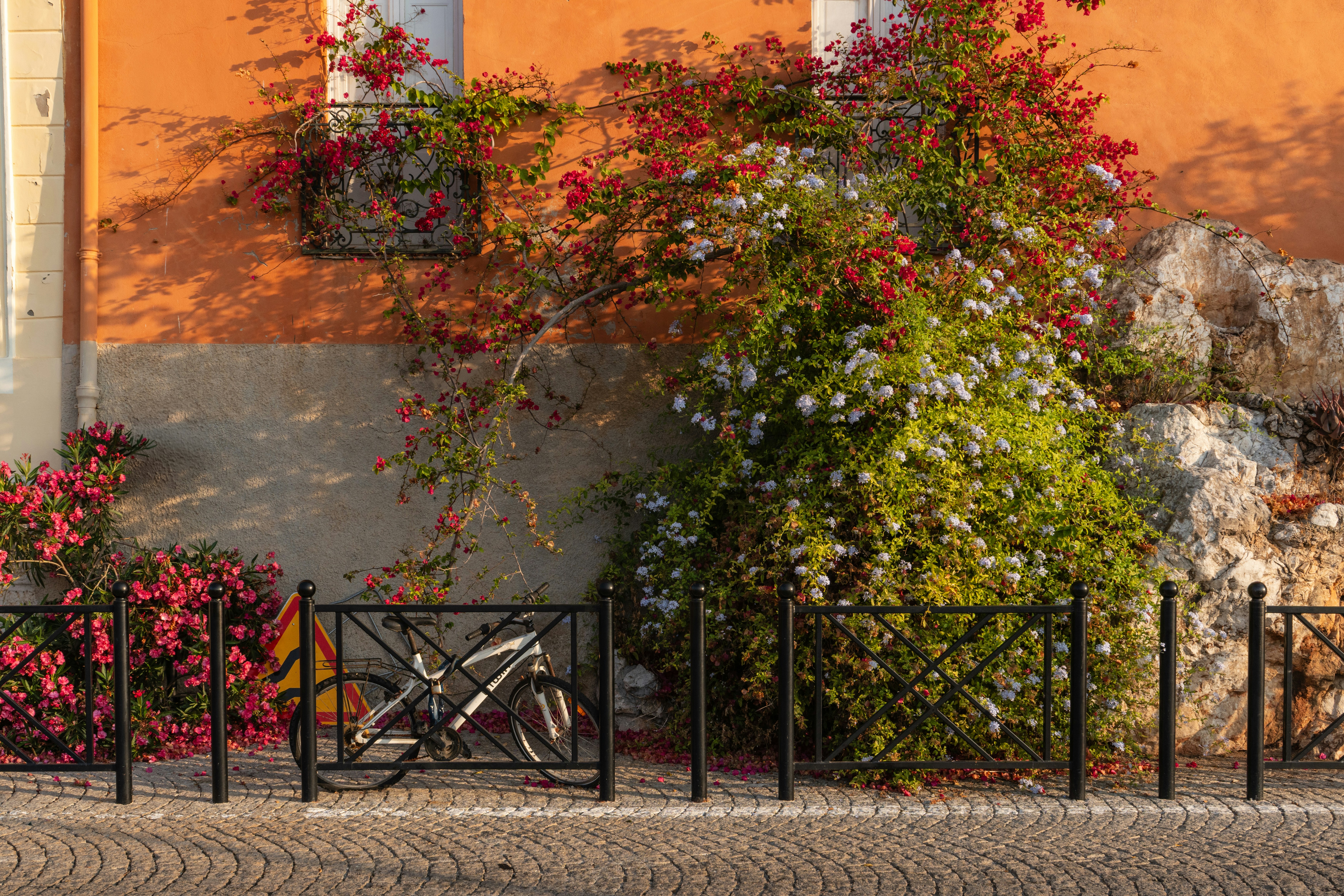 Bicycle parked by a colorful wall with blooming flowers.