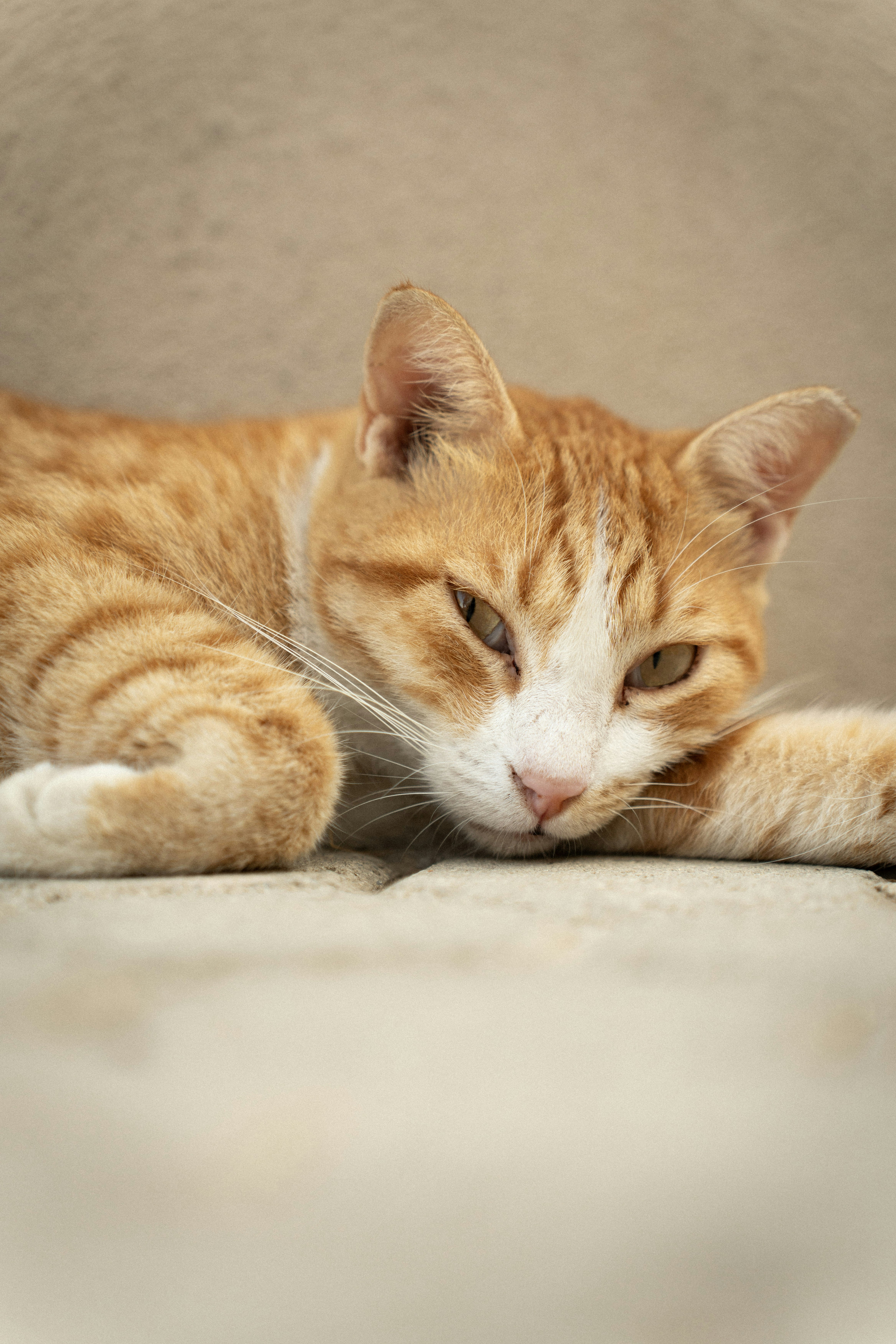 Photo by sorinbasangeac