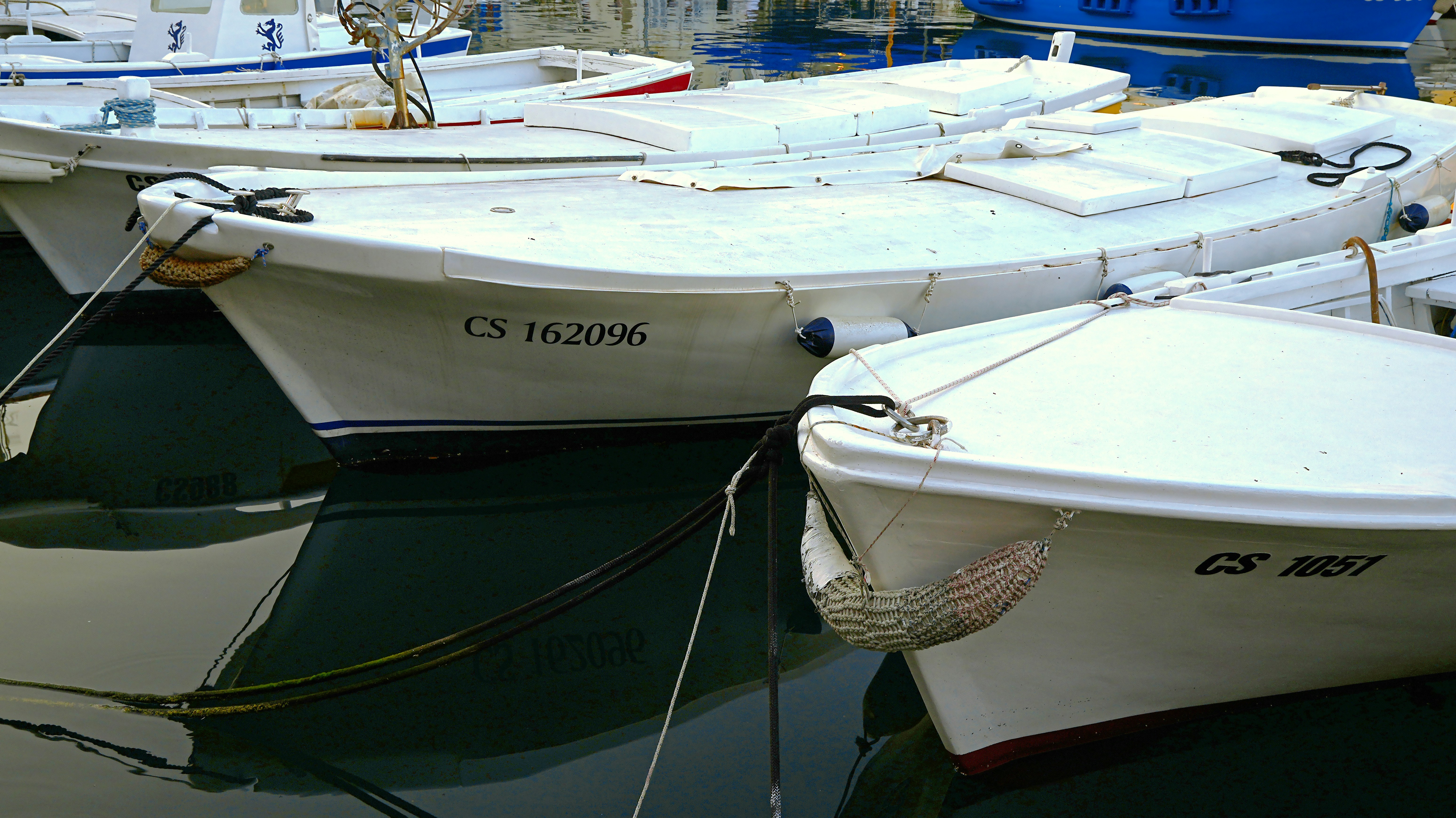 Several white boats docked in the water.