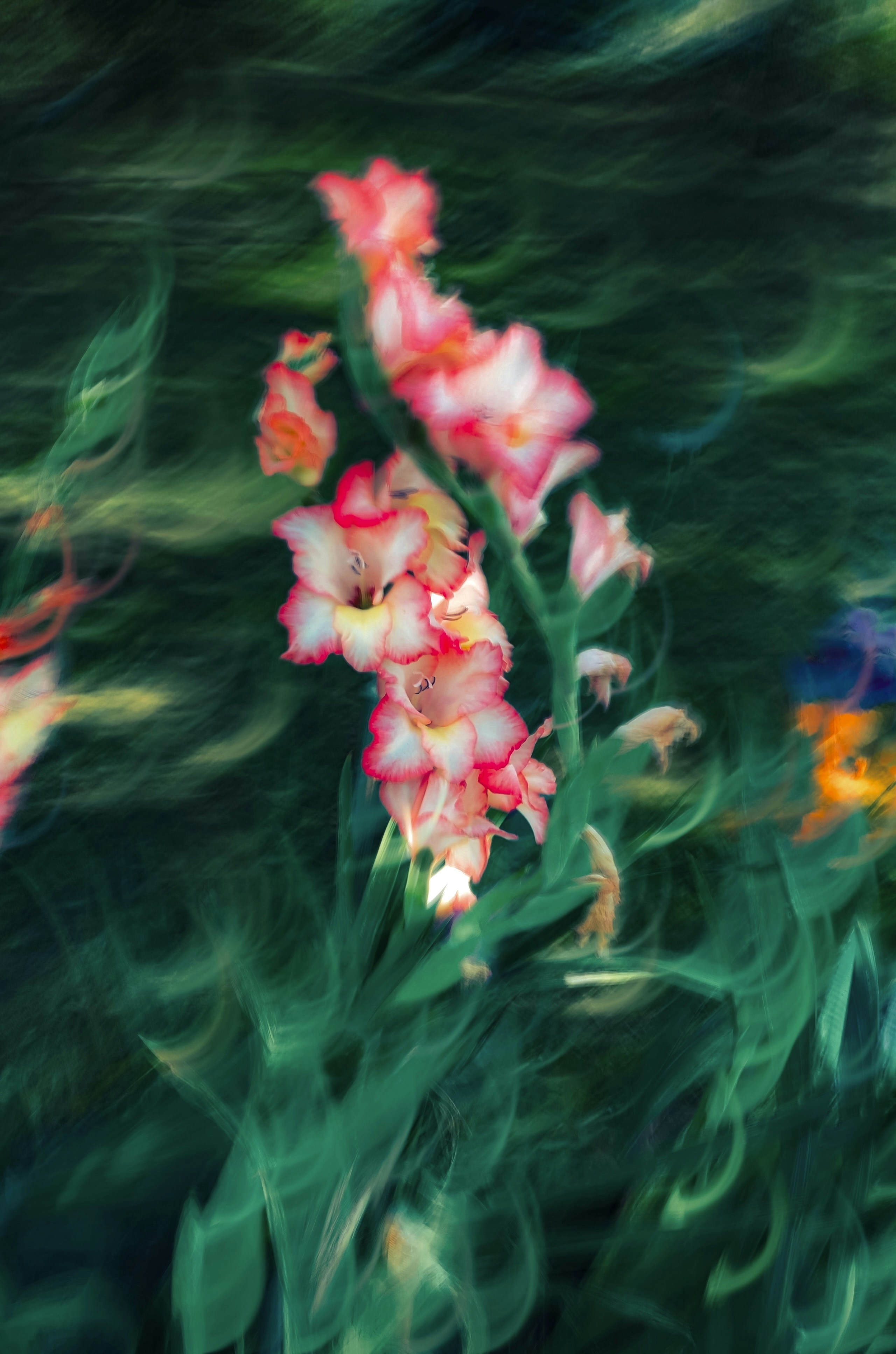 Photo by eugene_golovesov