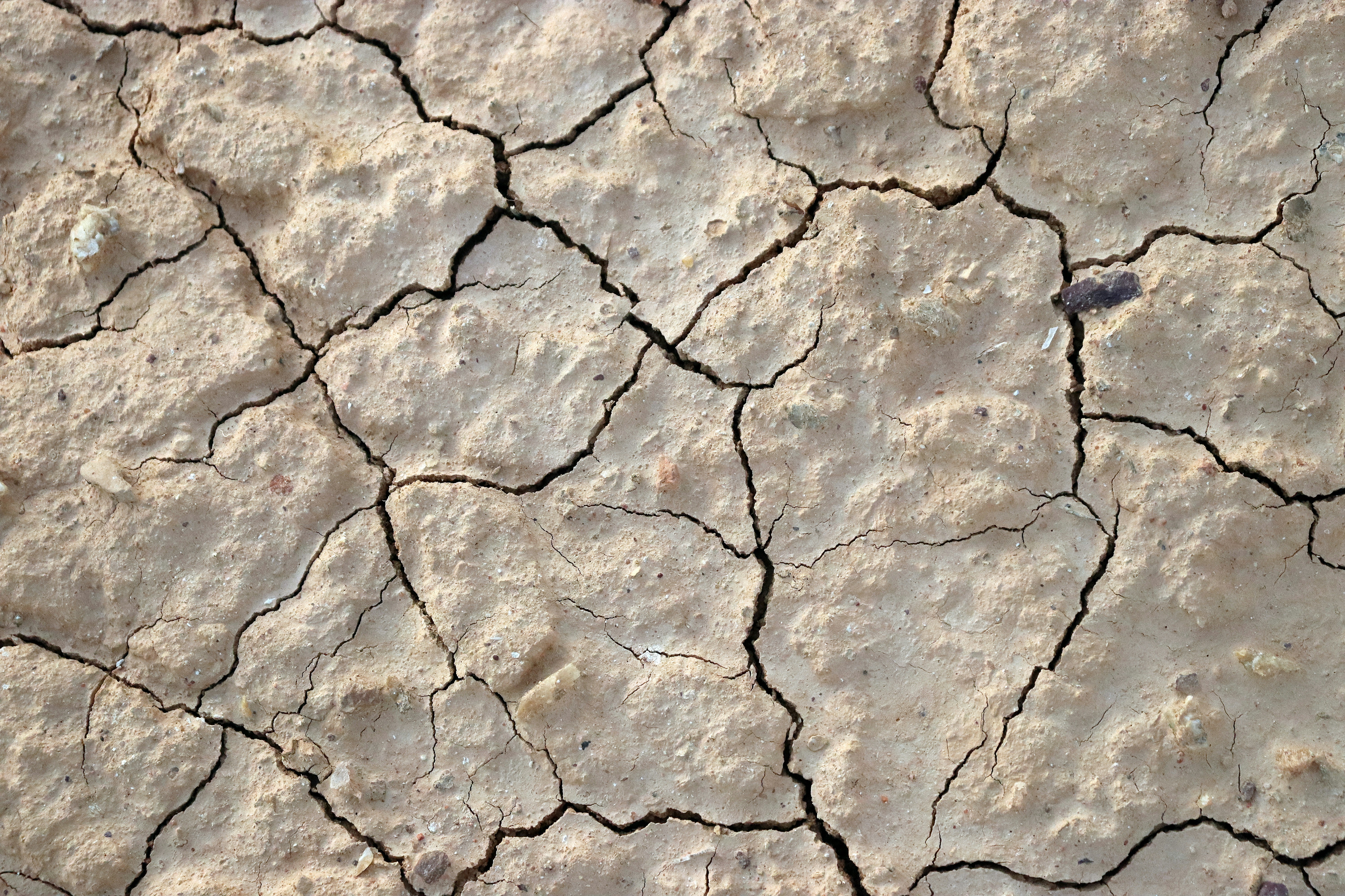 Photo by craigmanners_com