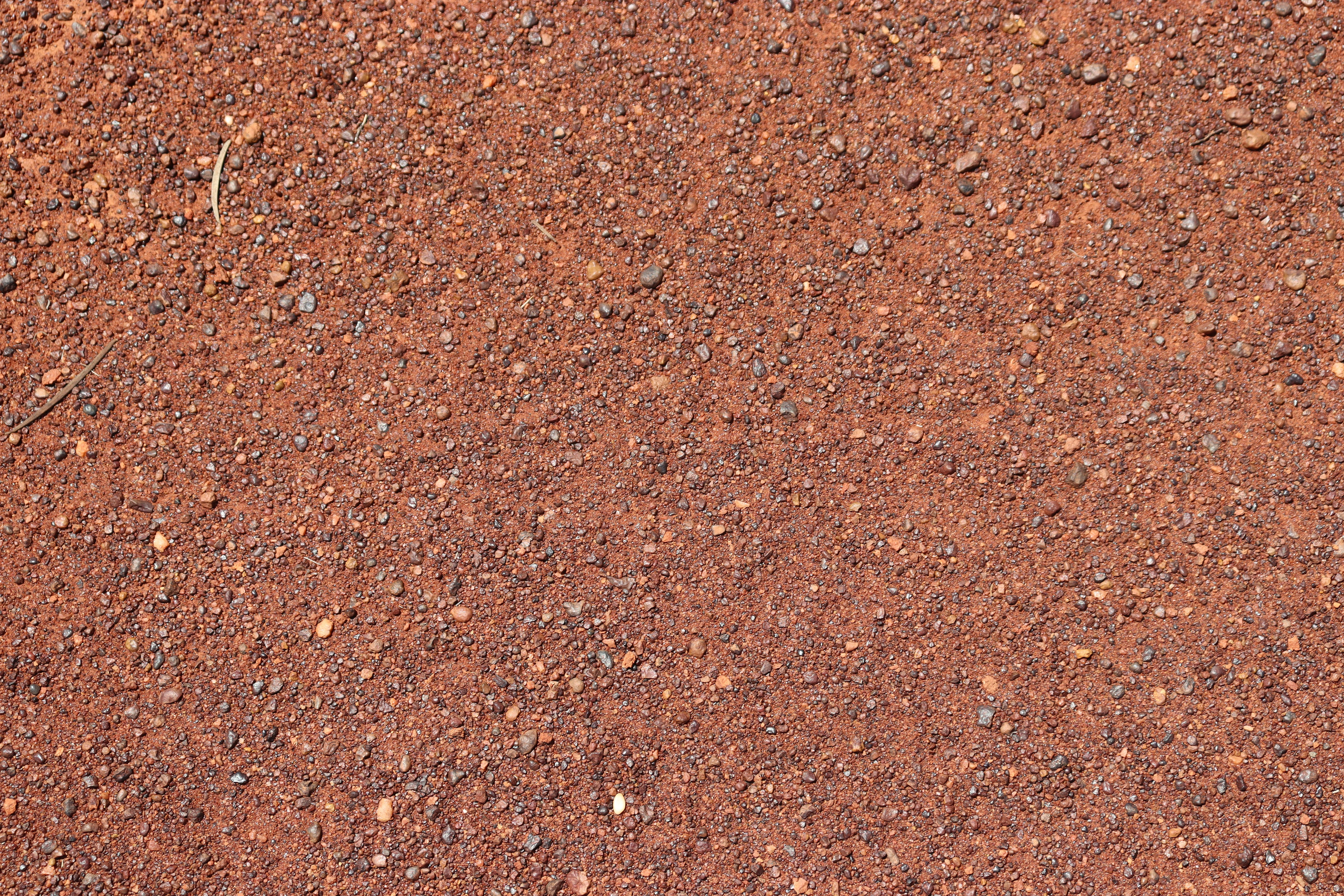 Photo by craigmanners_com