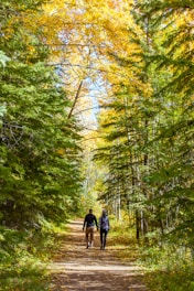 Two people walk on a path through an autumn forest.