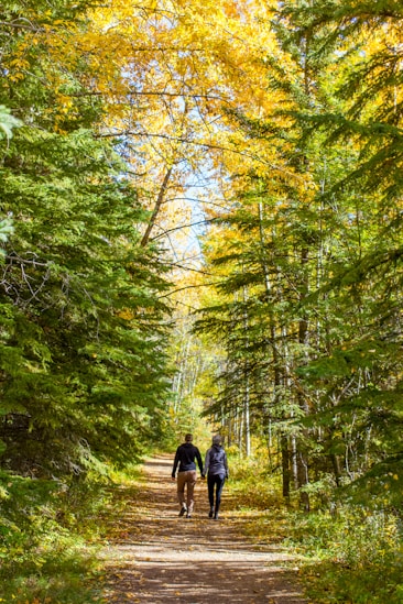 Two people walk on a path through an autumn forest.