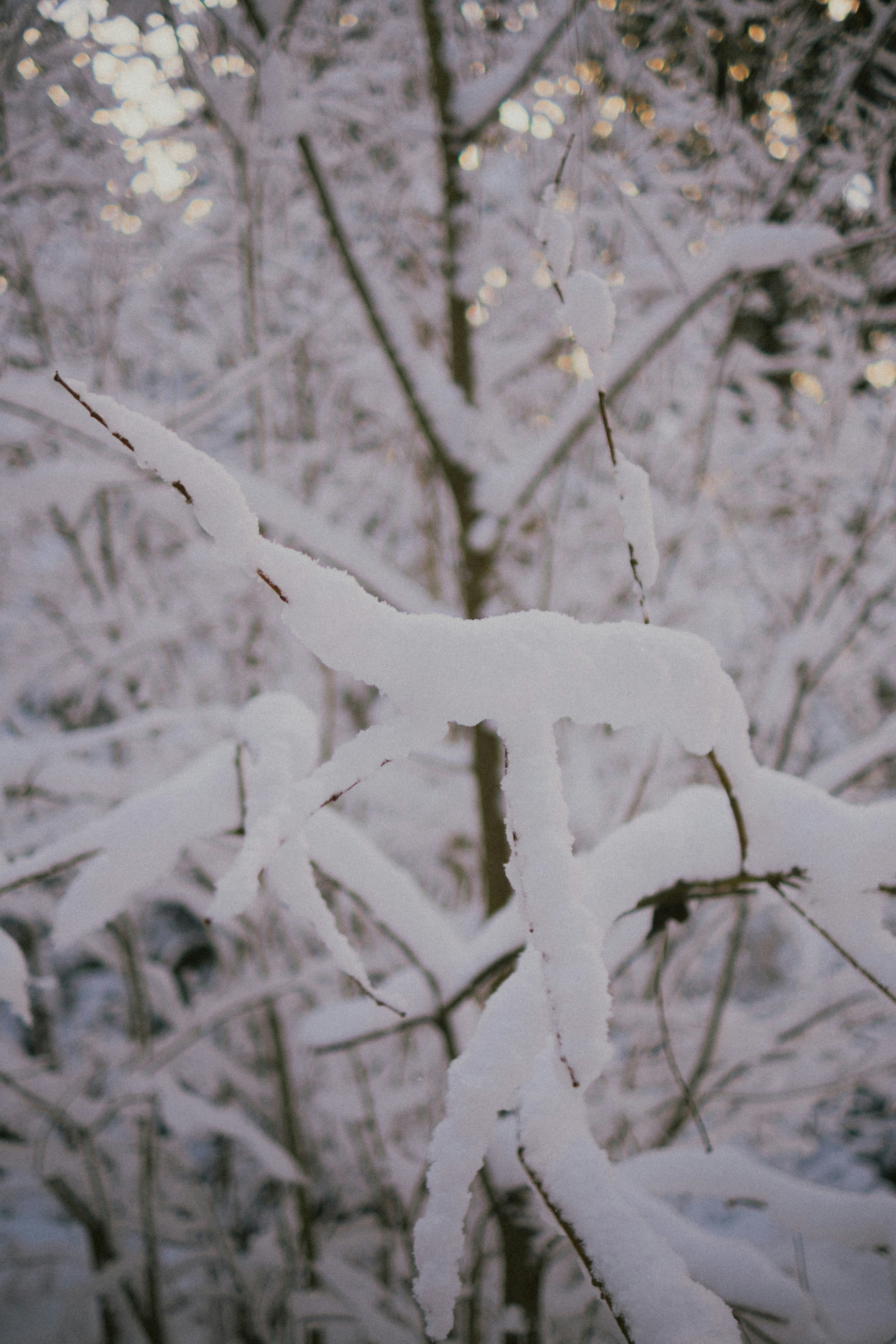 Photo by potokvarte