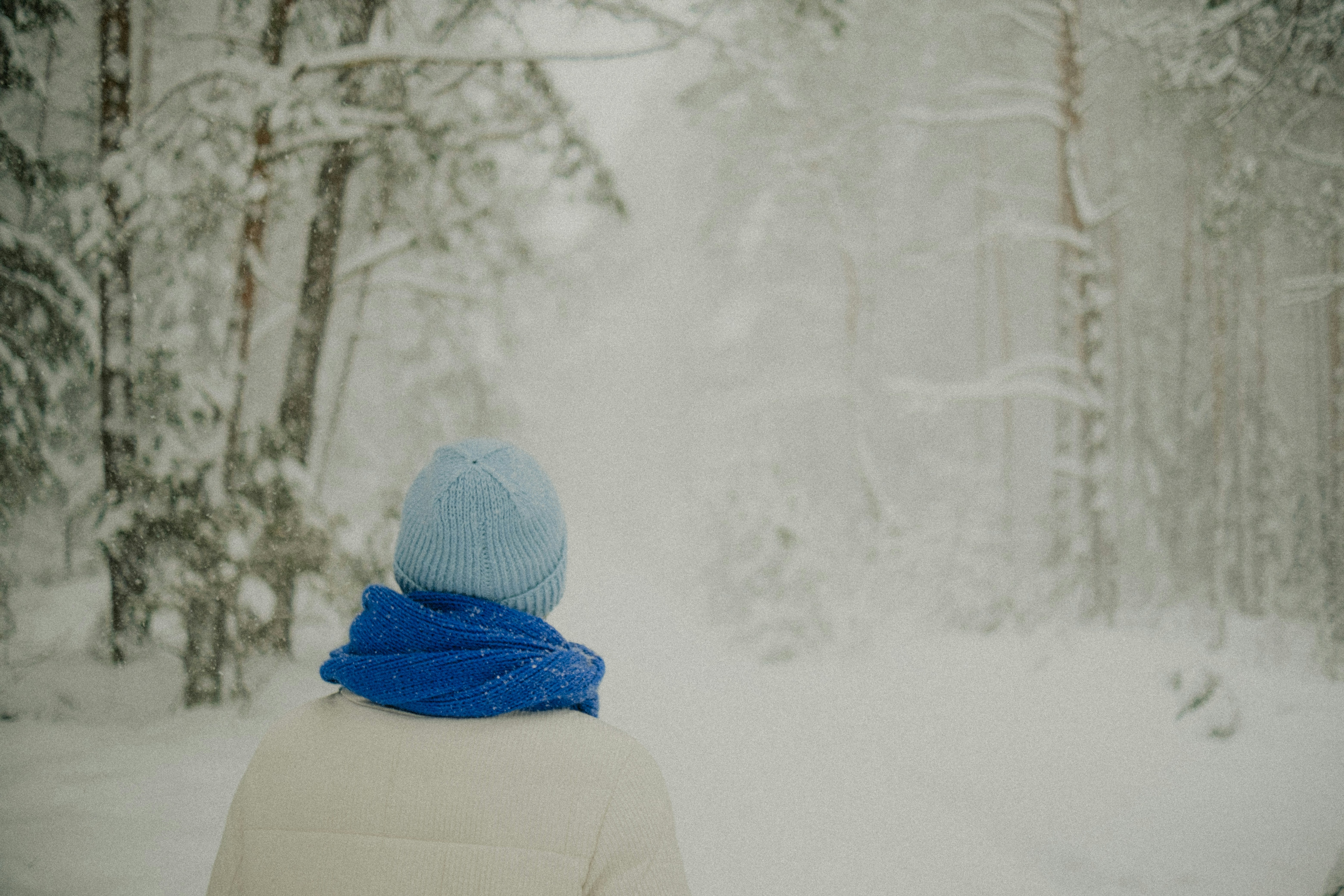 Person walking through a snowy forest path