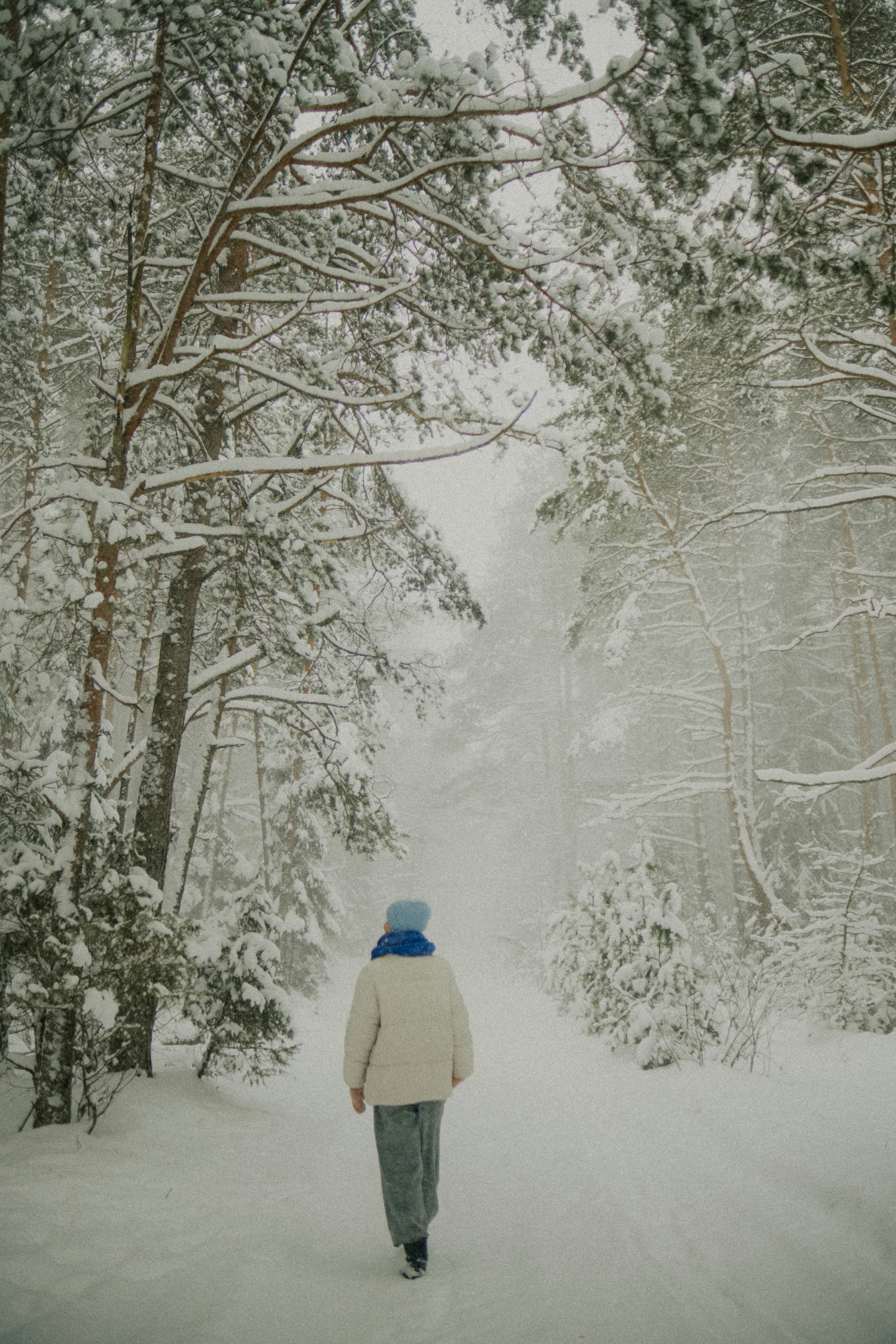 Person walking on a snowy path through a winter forest.