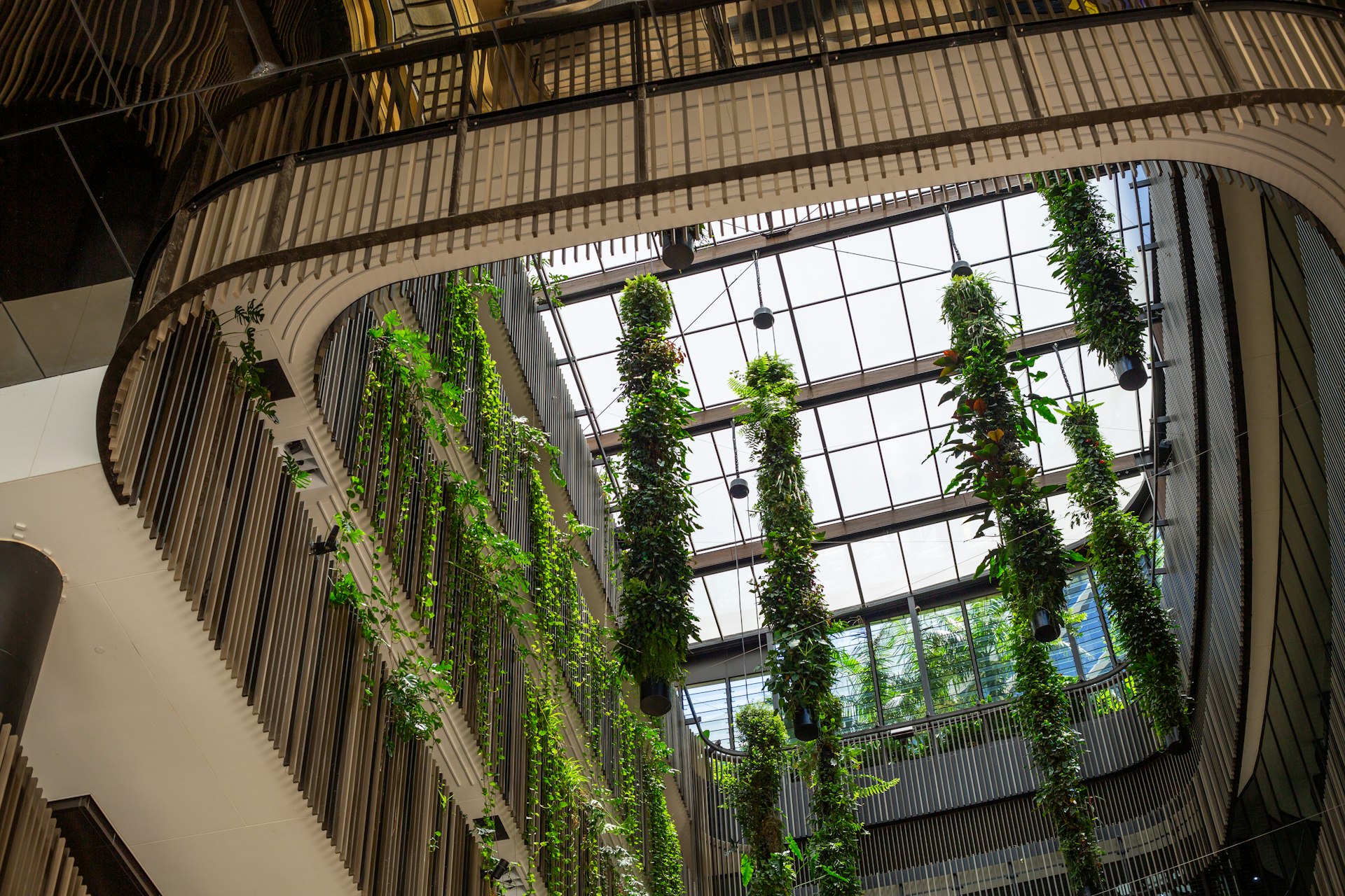 Modern sustainable atrium