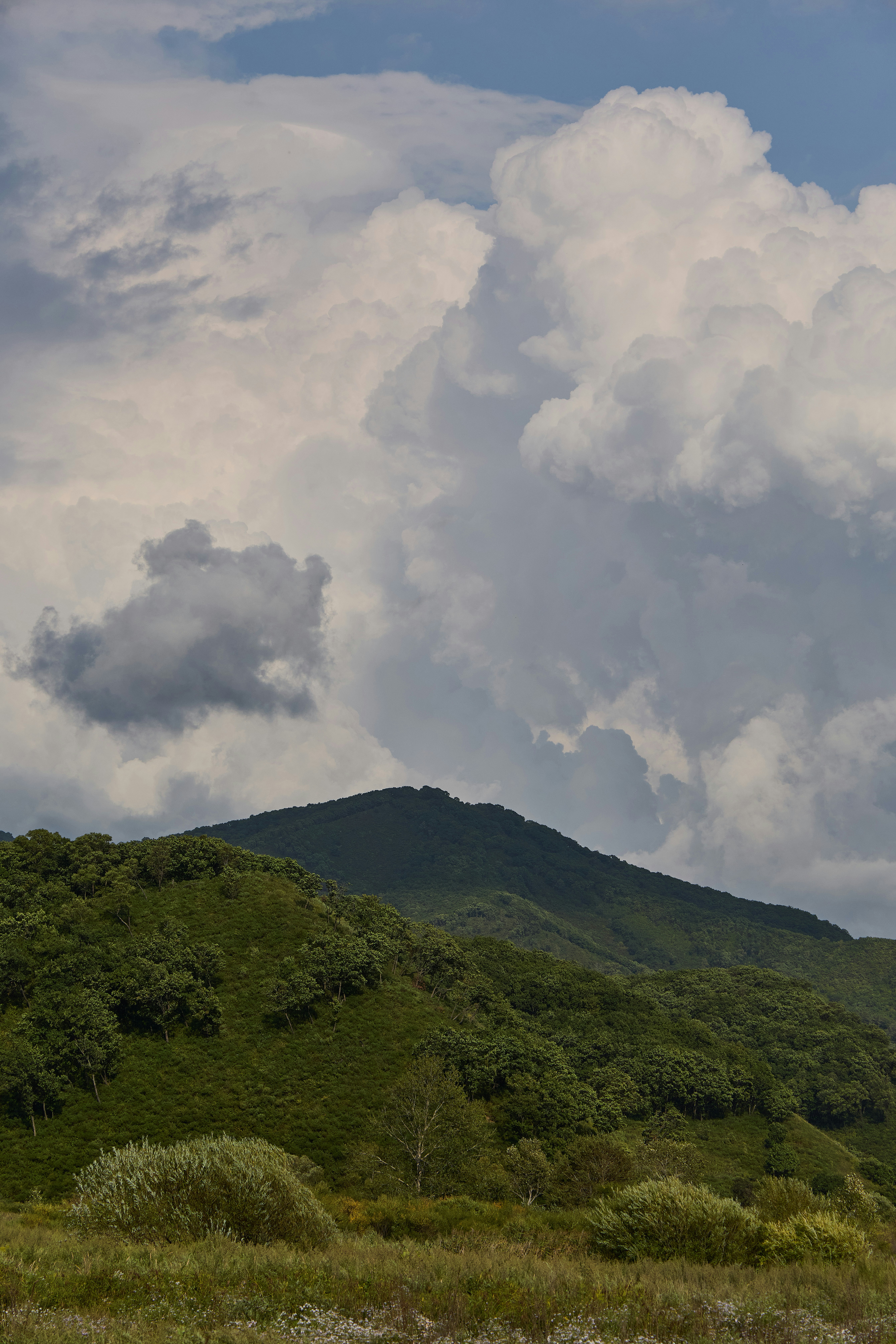 劇的な曇り空の下、緑豊かな丘陵