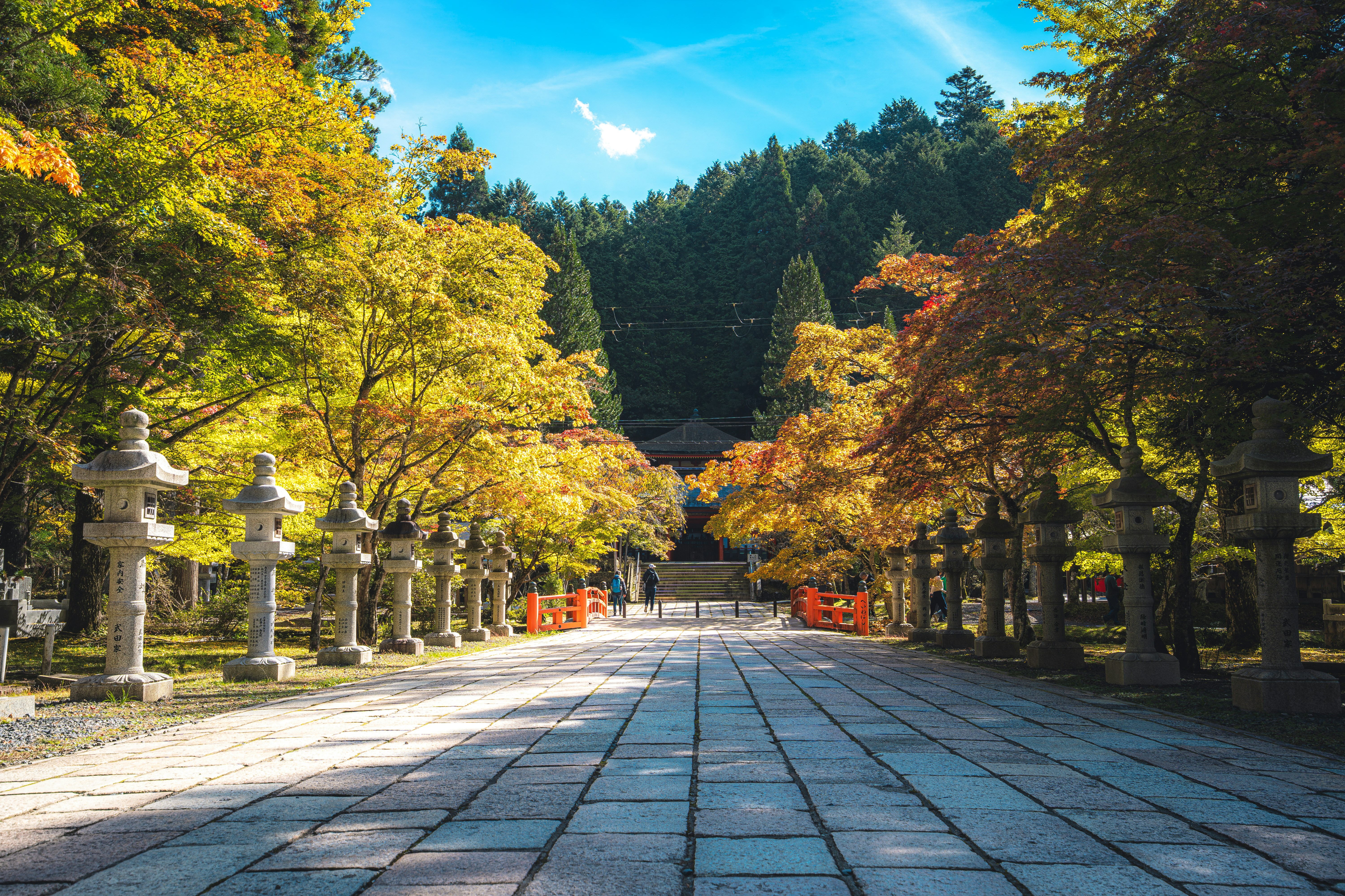 石畳の道にはランタンと秋の木々が並びました。