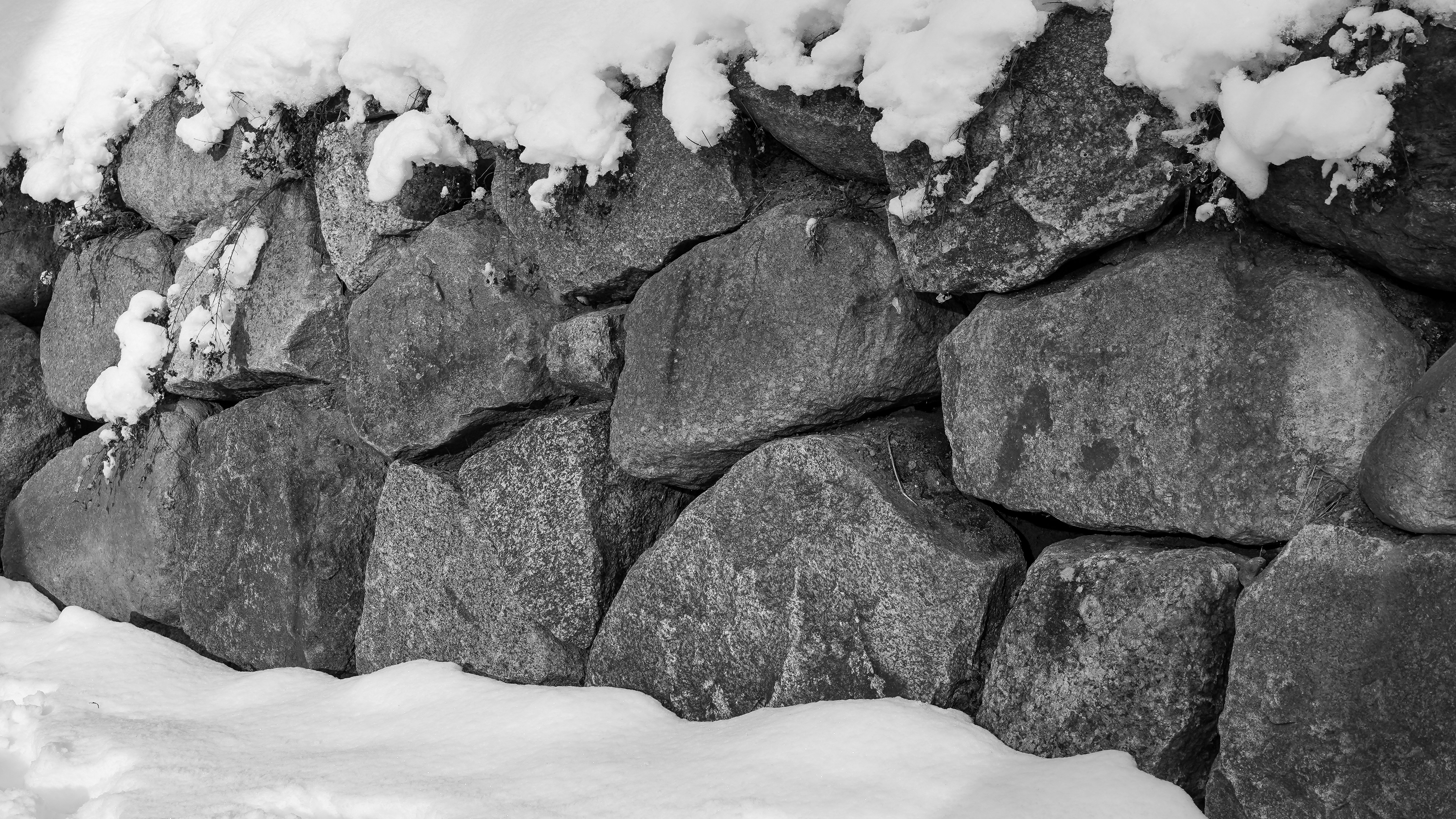 Photo by hamburgmeinefreundin