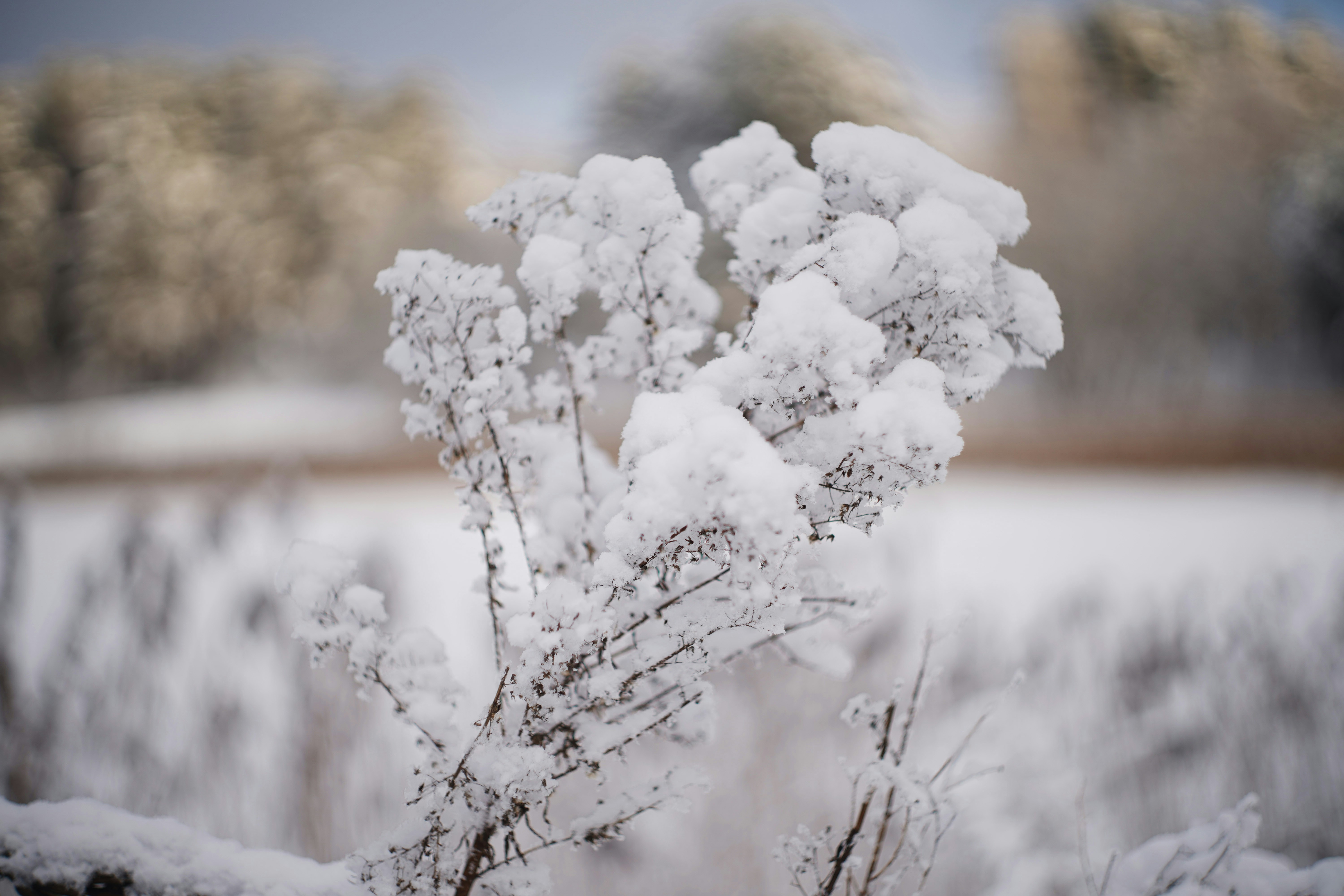 Photo by kristijonasnorkus