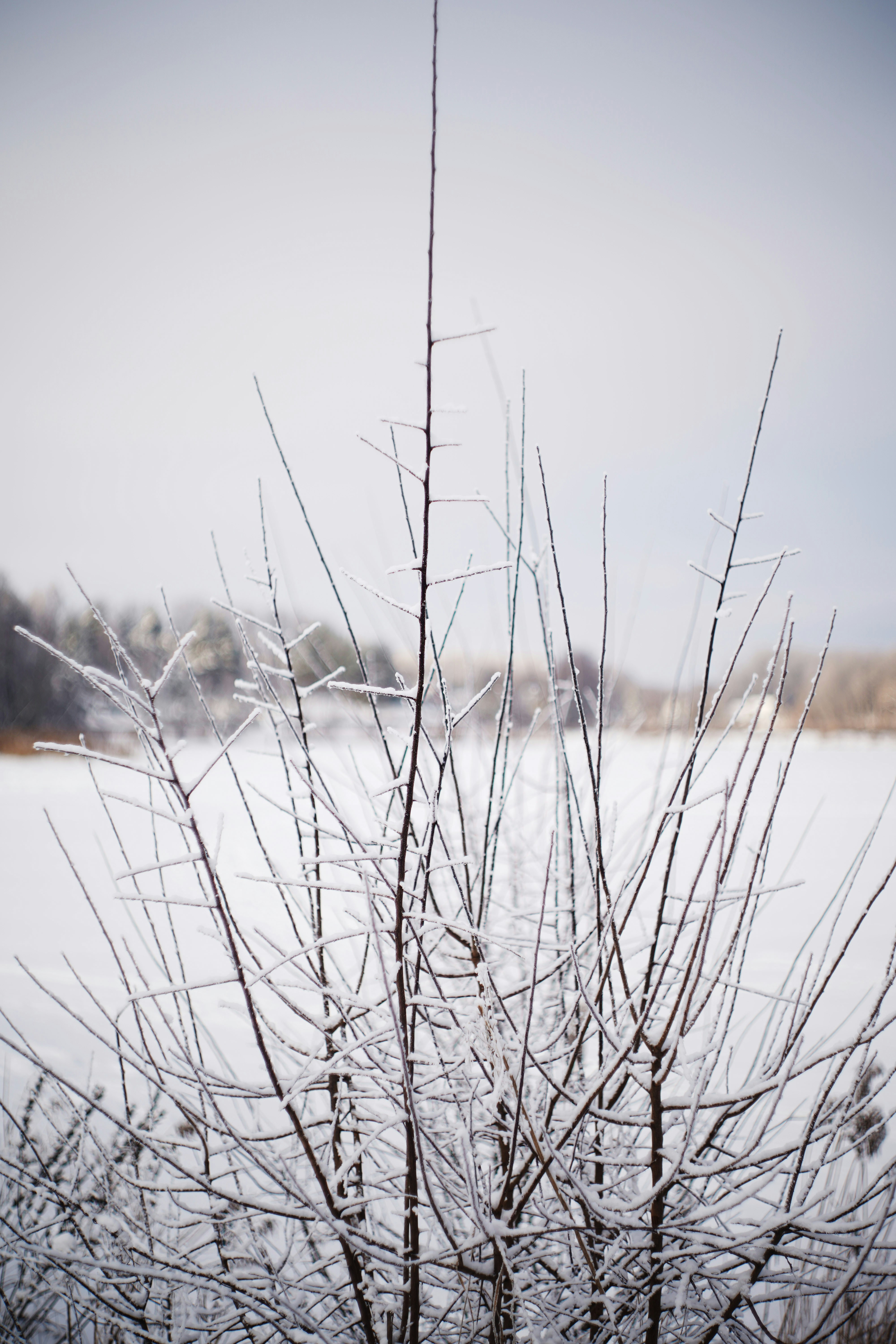 Photo by kristijonasnorkus