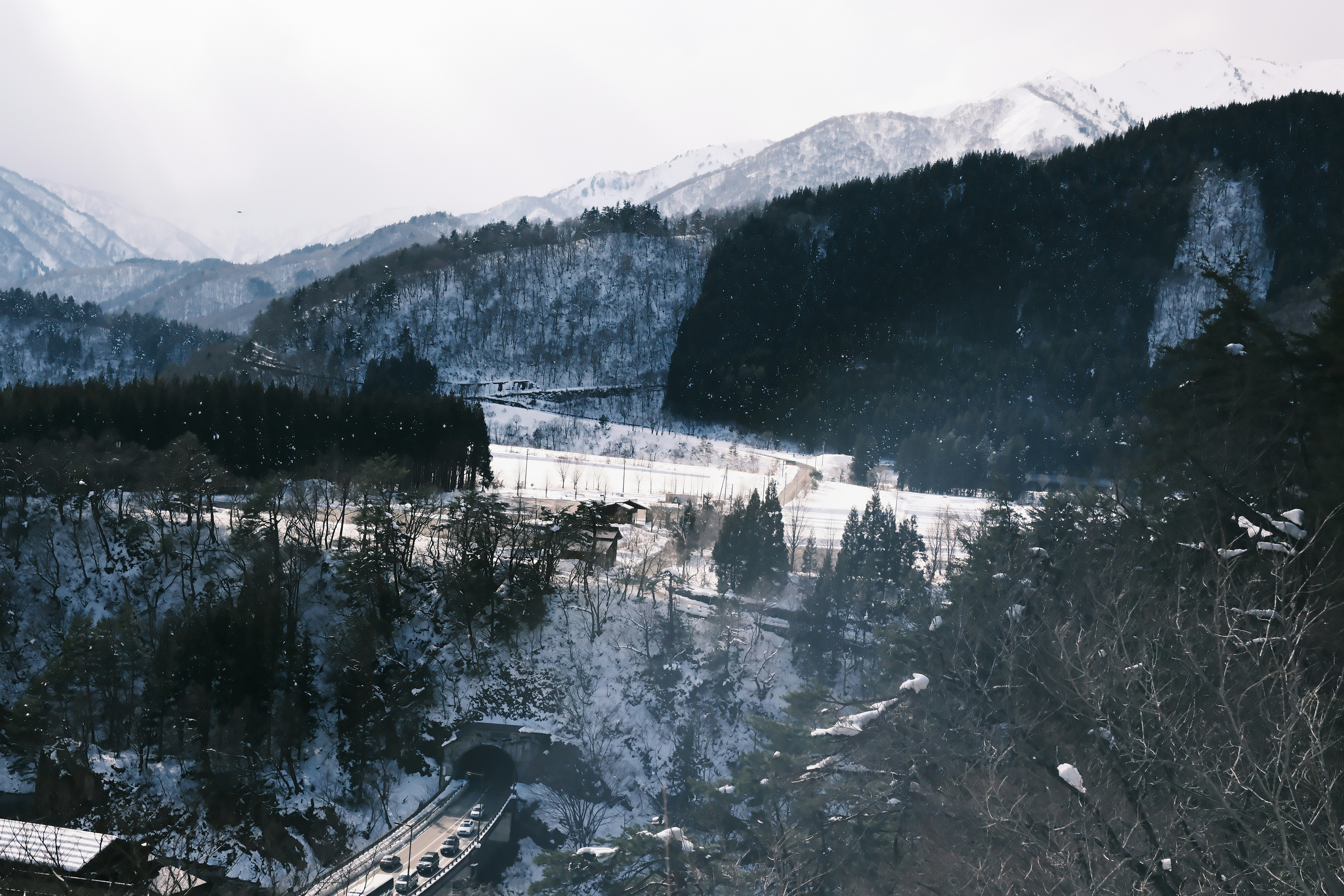 Snowy mountains with dark trees and a valley