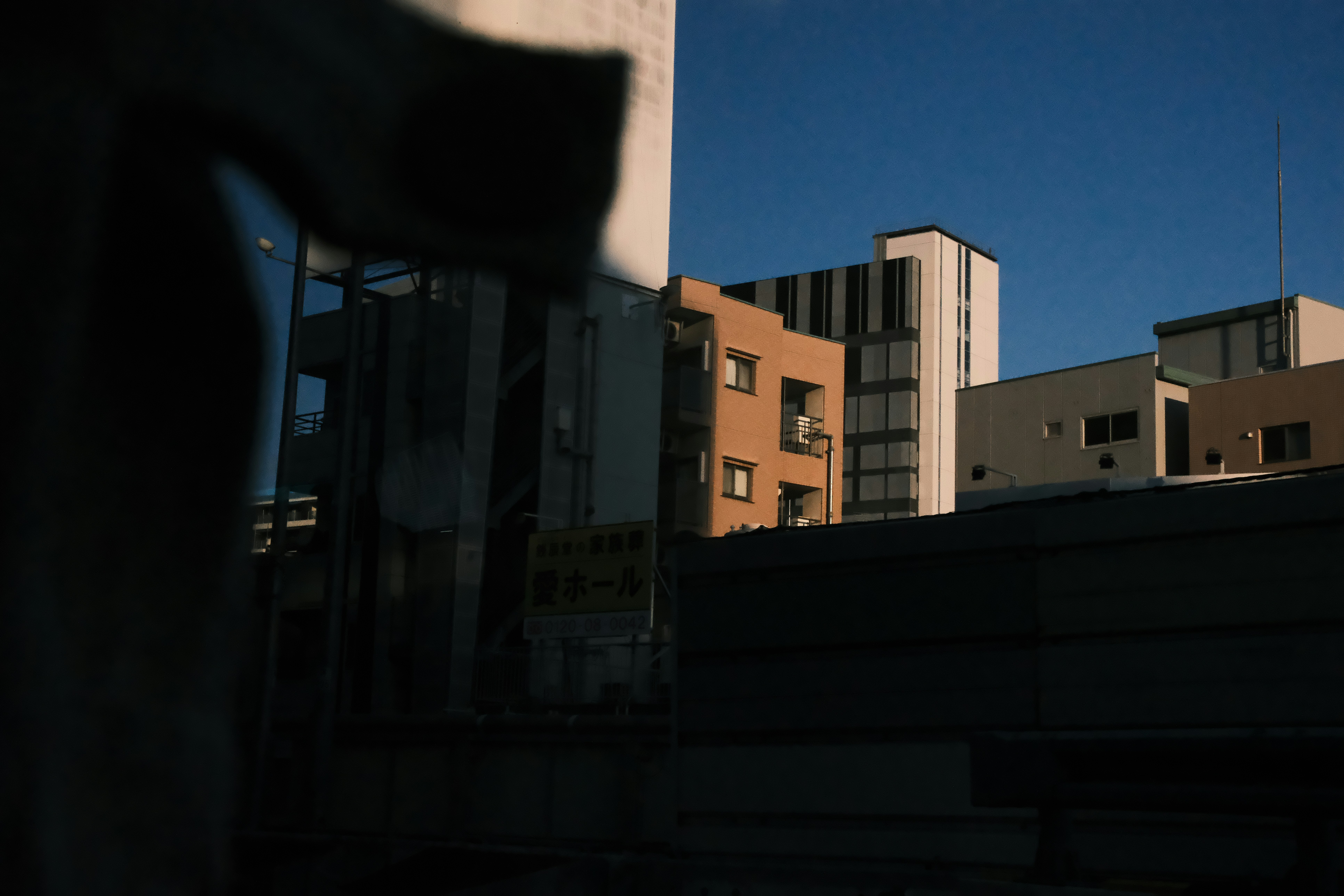 Photo by viendinh1995