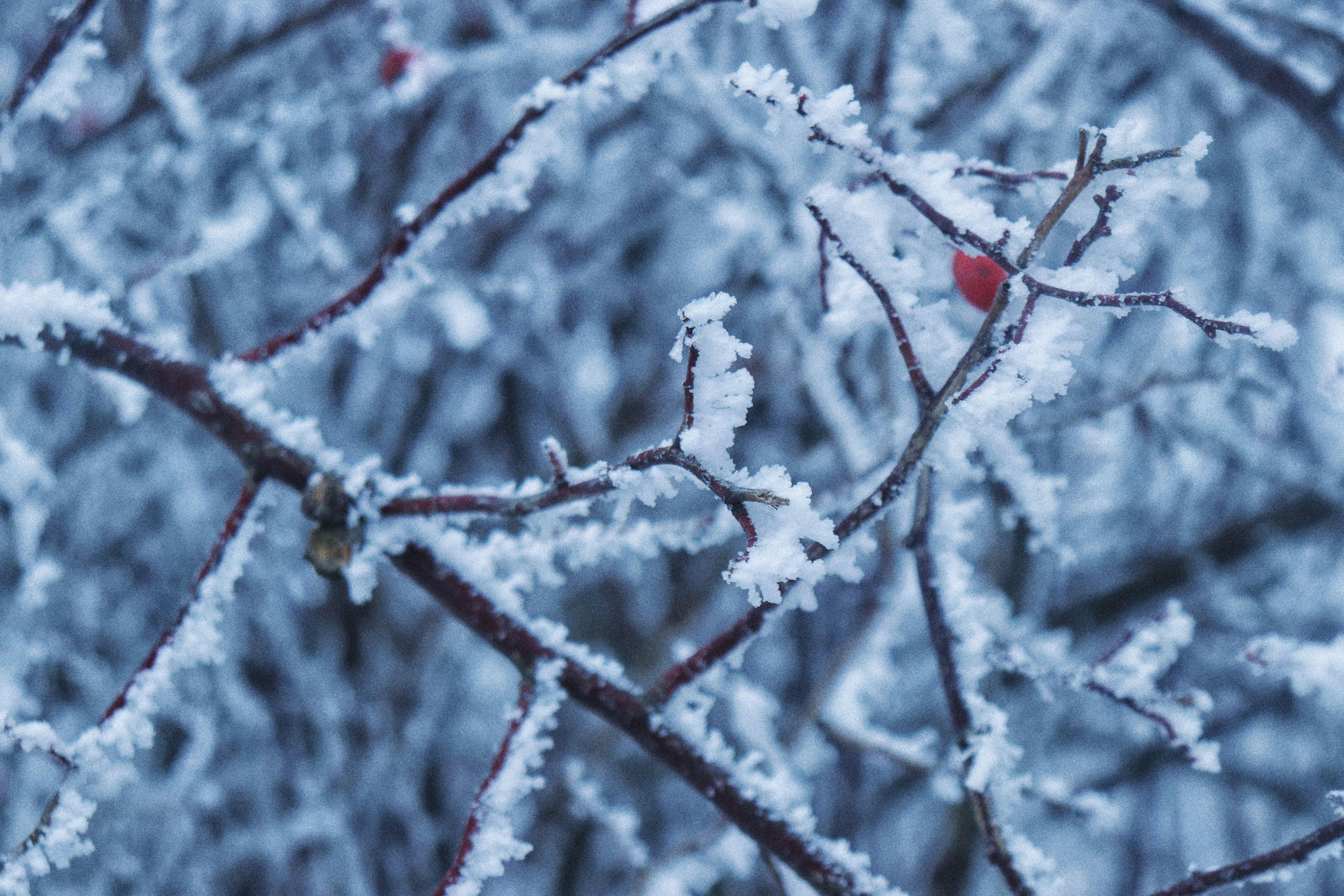 Photo by stasiaspark